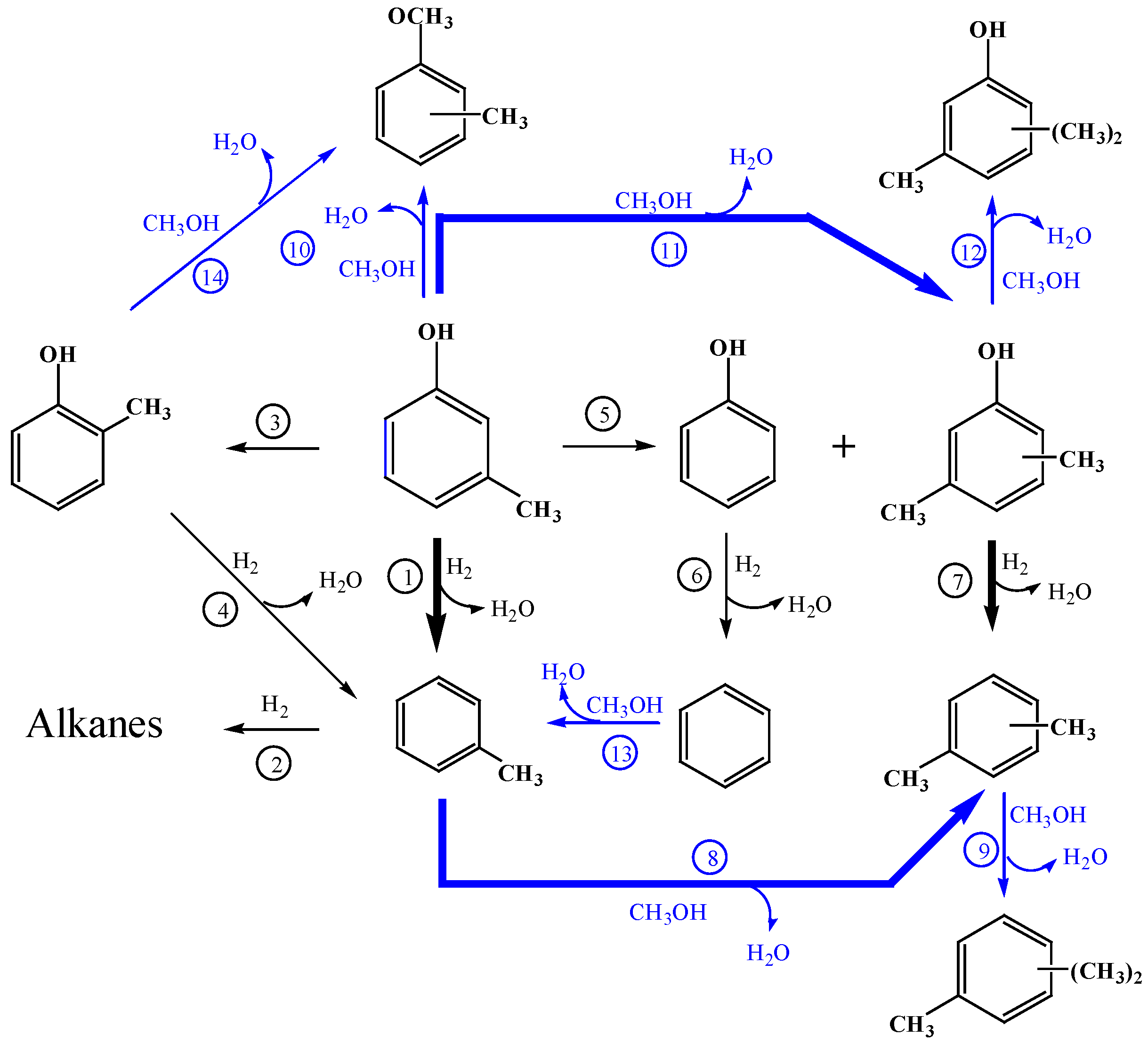 Catalysts 06 00019 g006