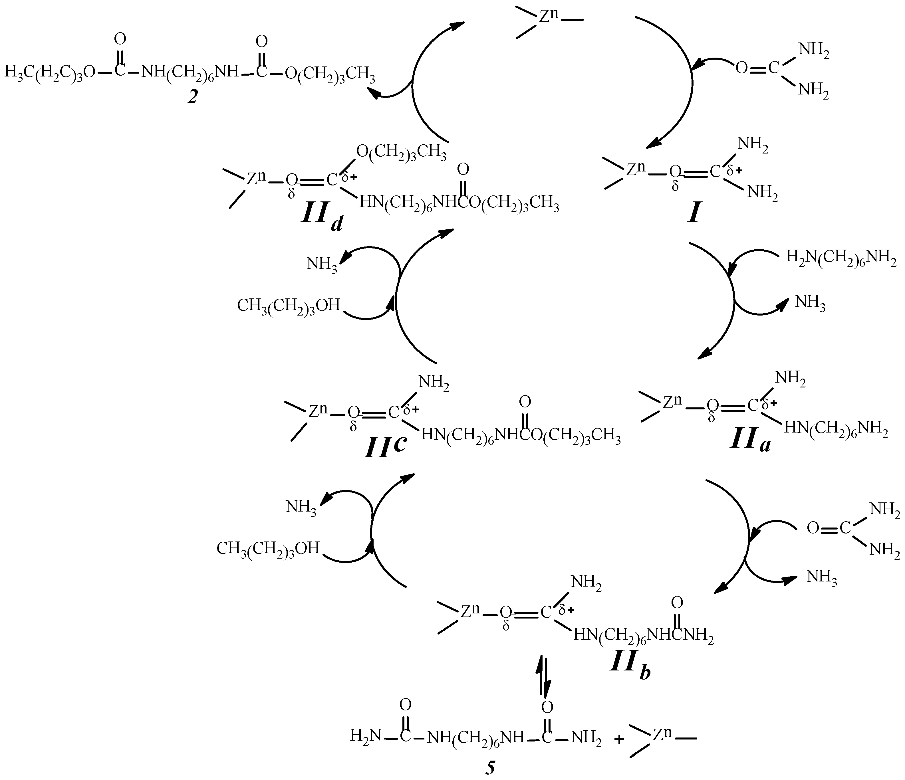Catalysts 06 00028 g009