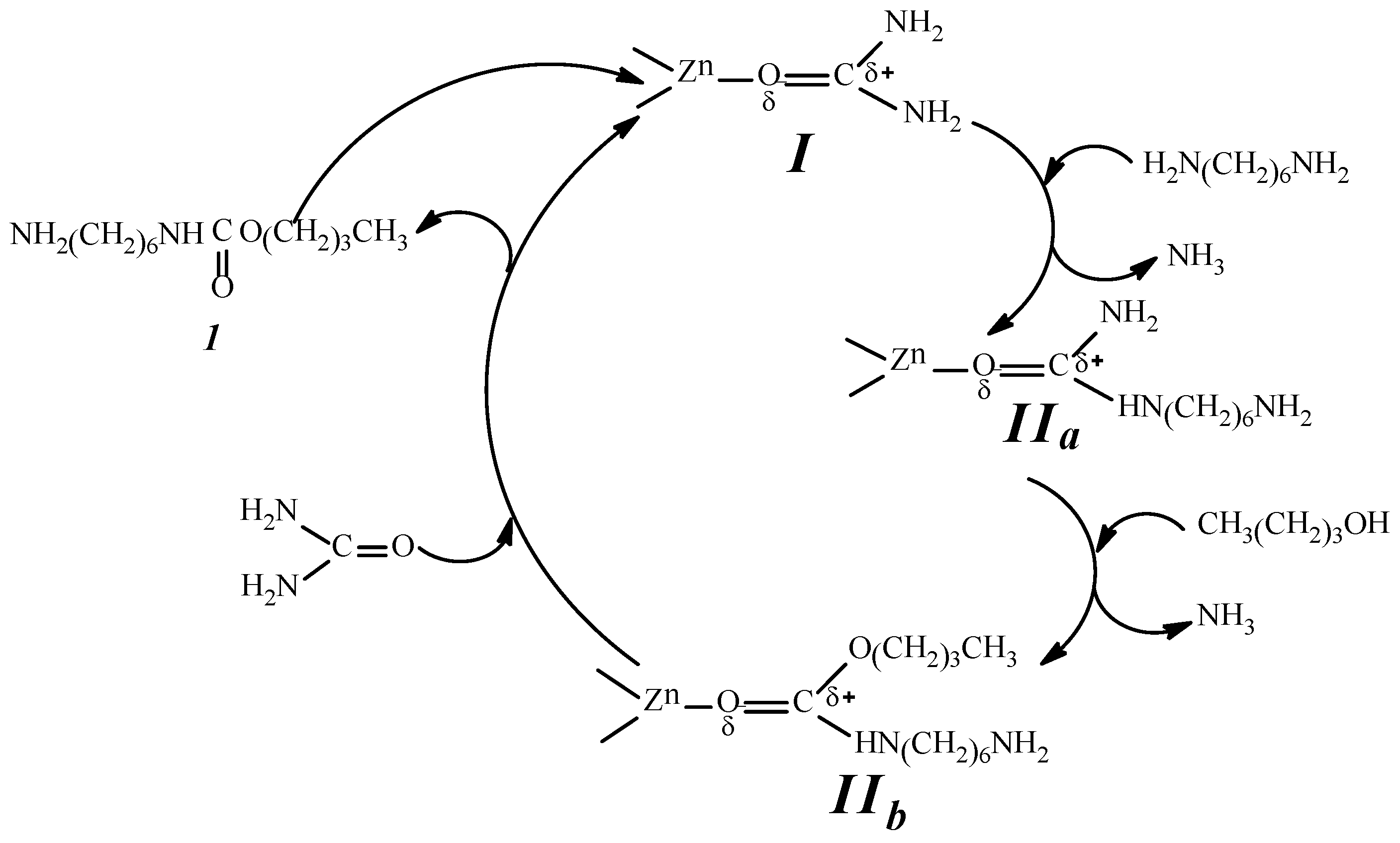 Catalysts 06 00028 g010