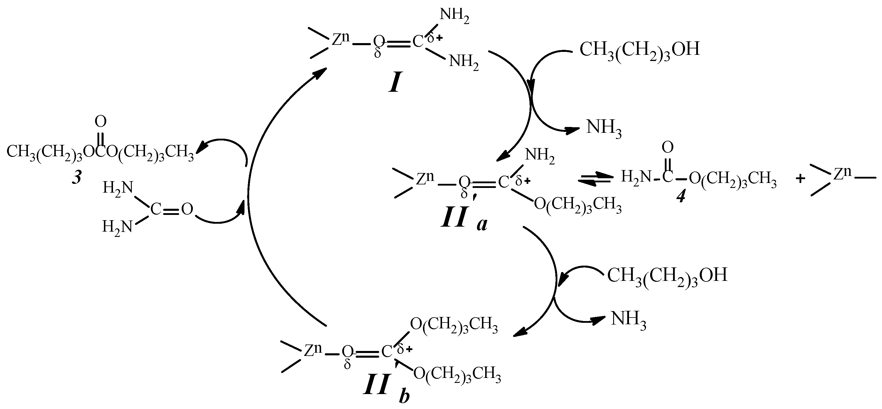 Catalysts 06 00028 g011