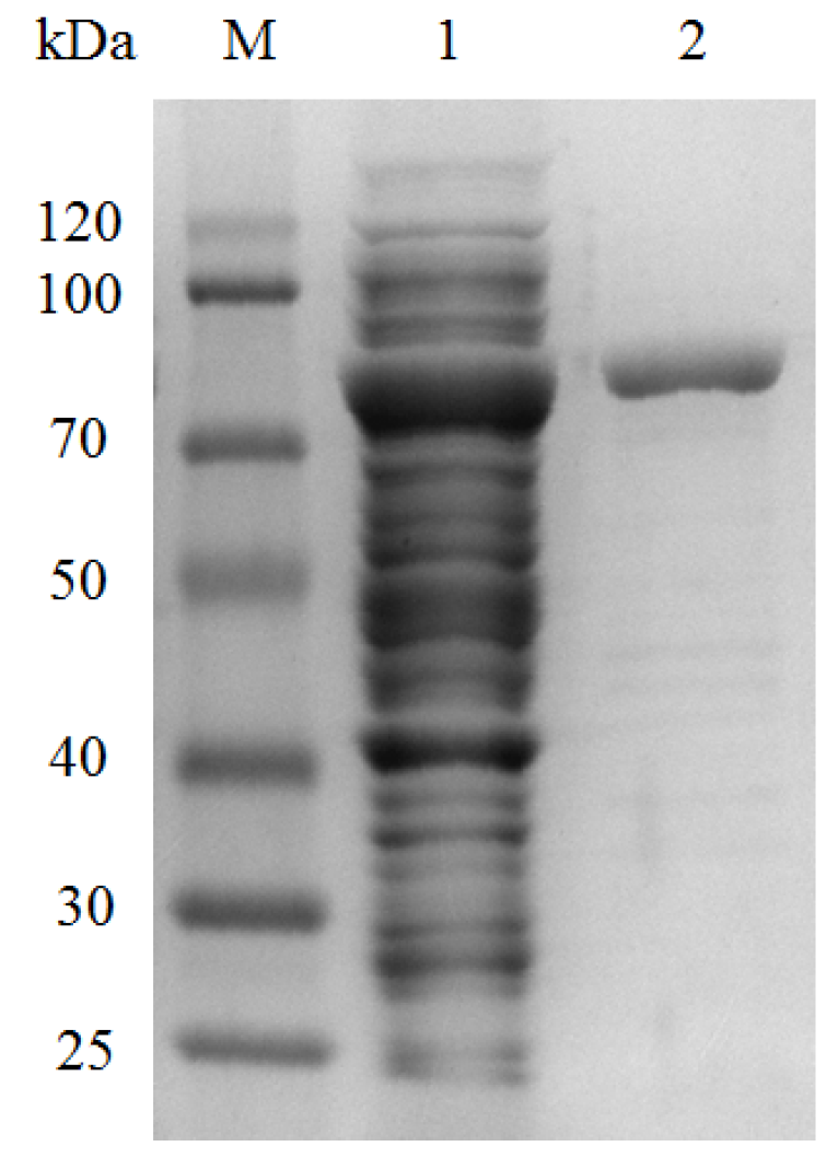 Catalysts 06 00035 g003