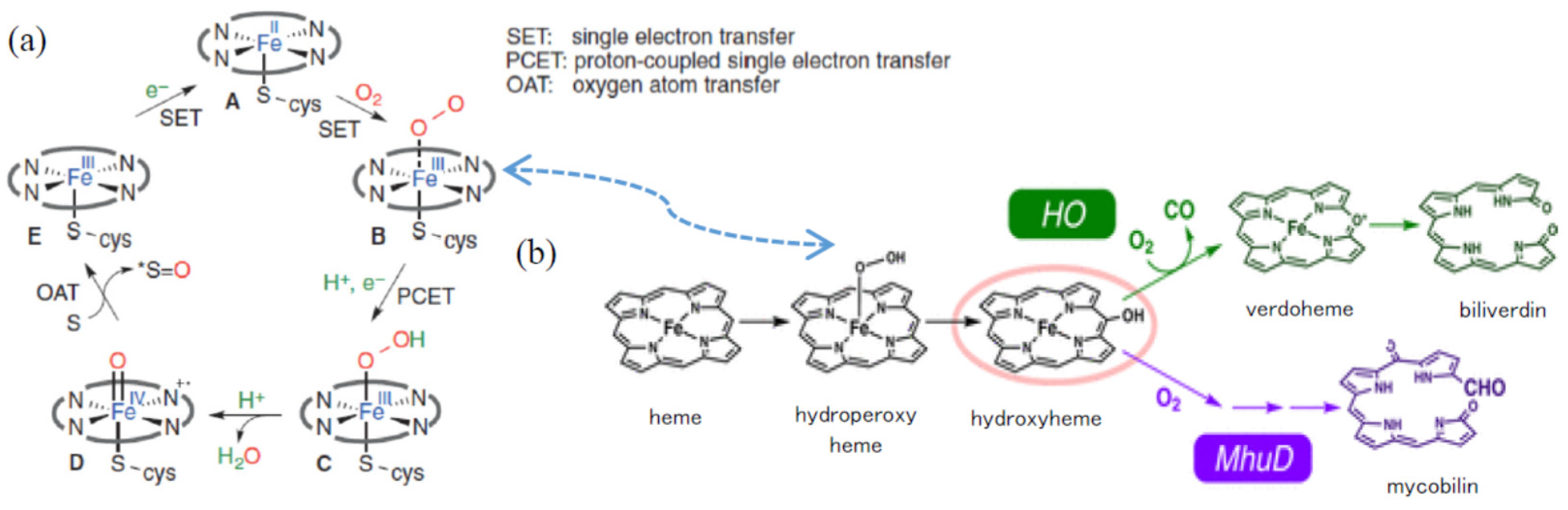 Catalysts 06 00038 g008