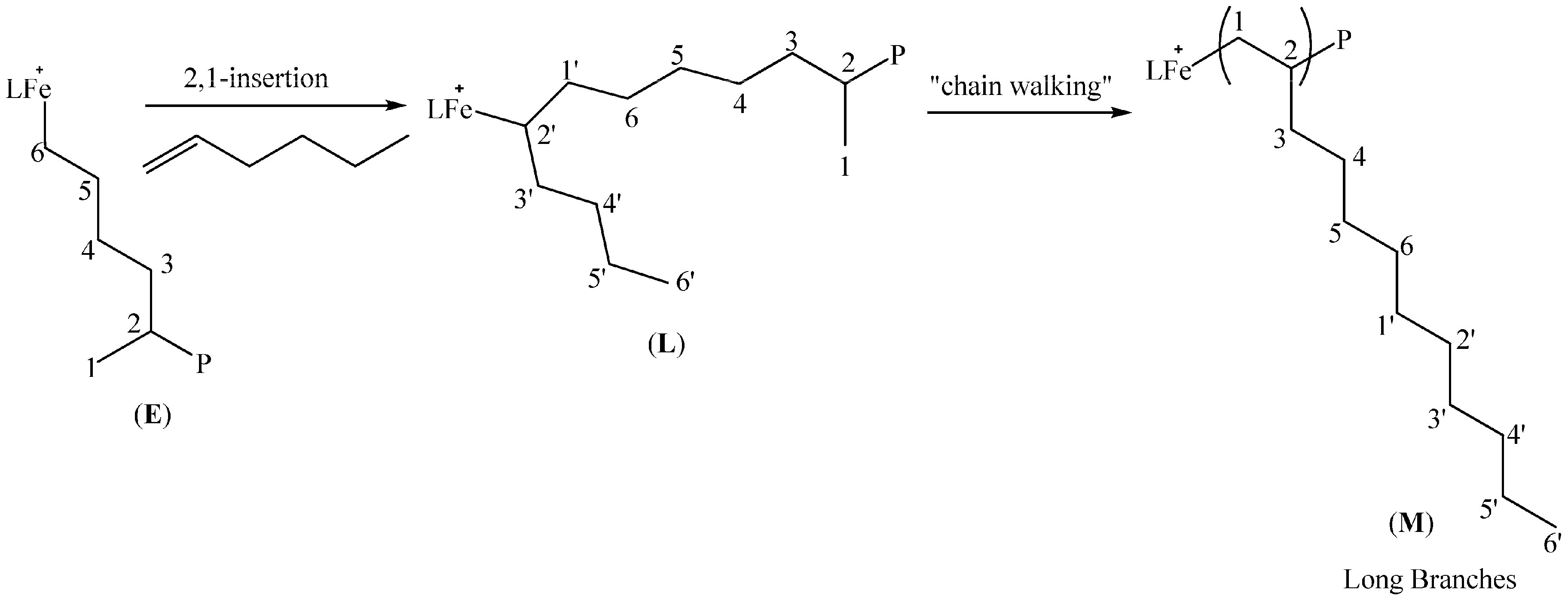 Catalysts 06 00047 g005