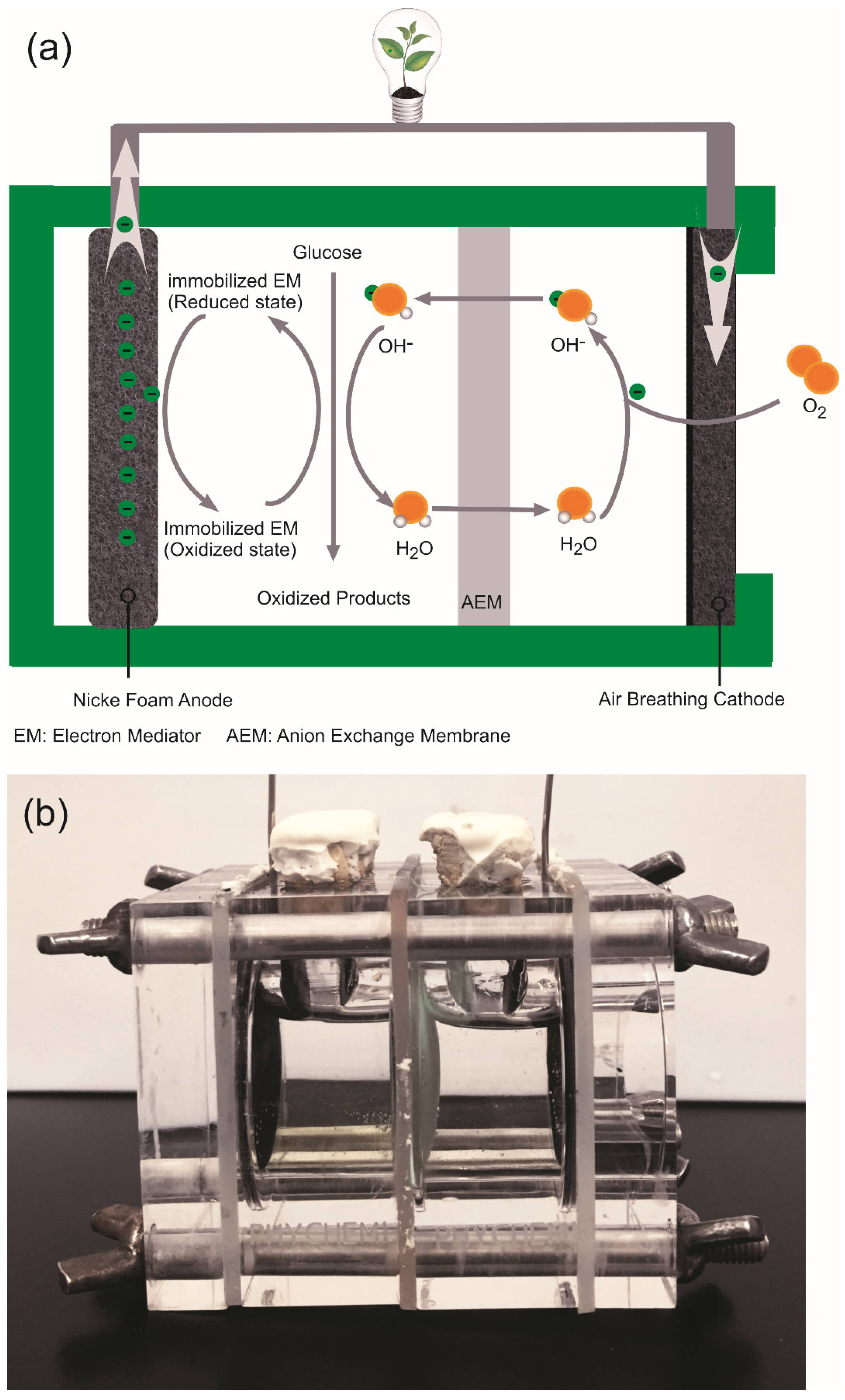 Catalysts 06 00095 g008