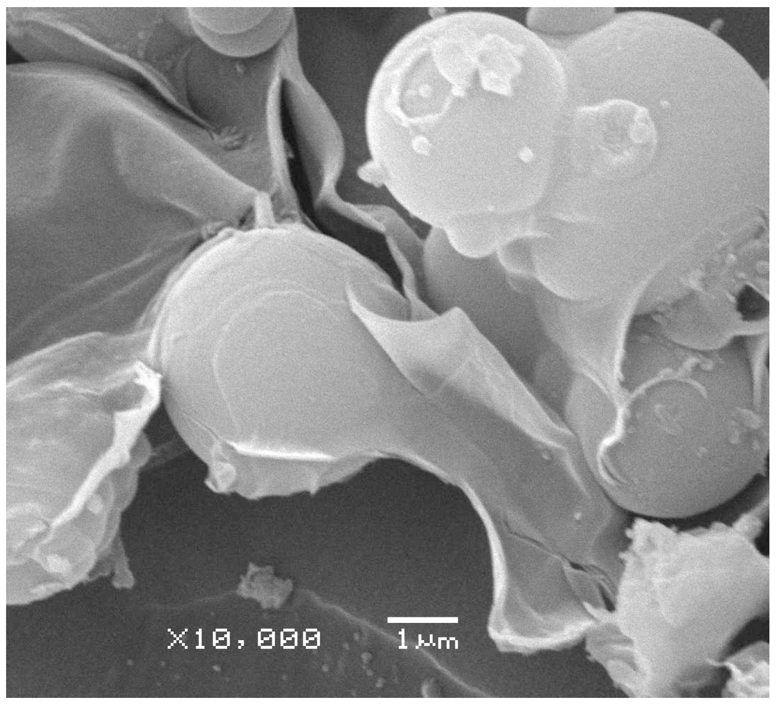 Catalysts 06 00101 g004