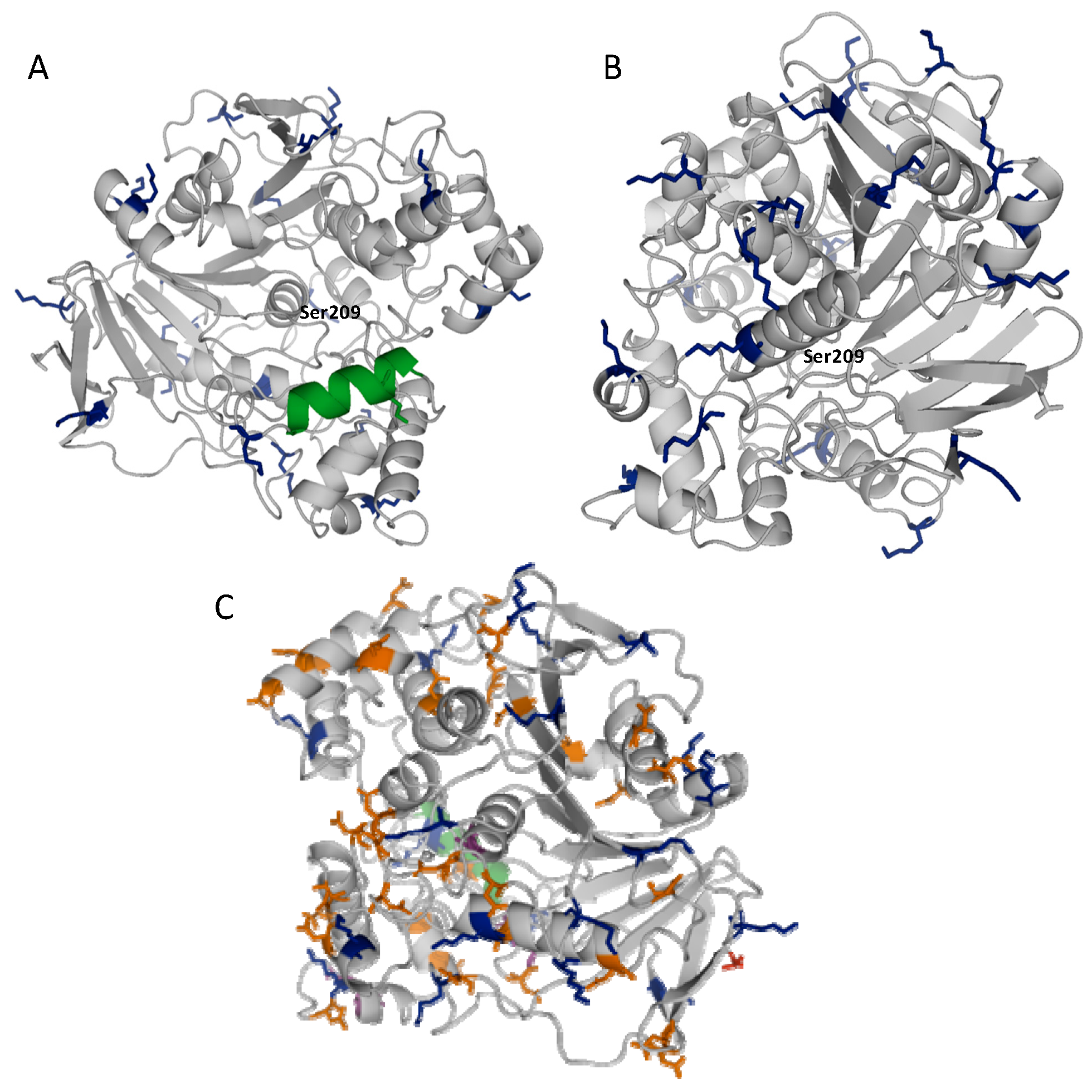 Catalysts 06 00115 g001