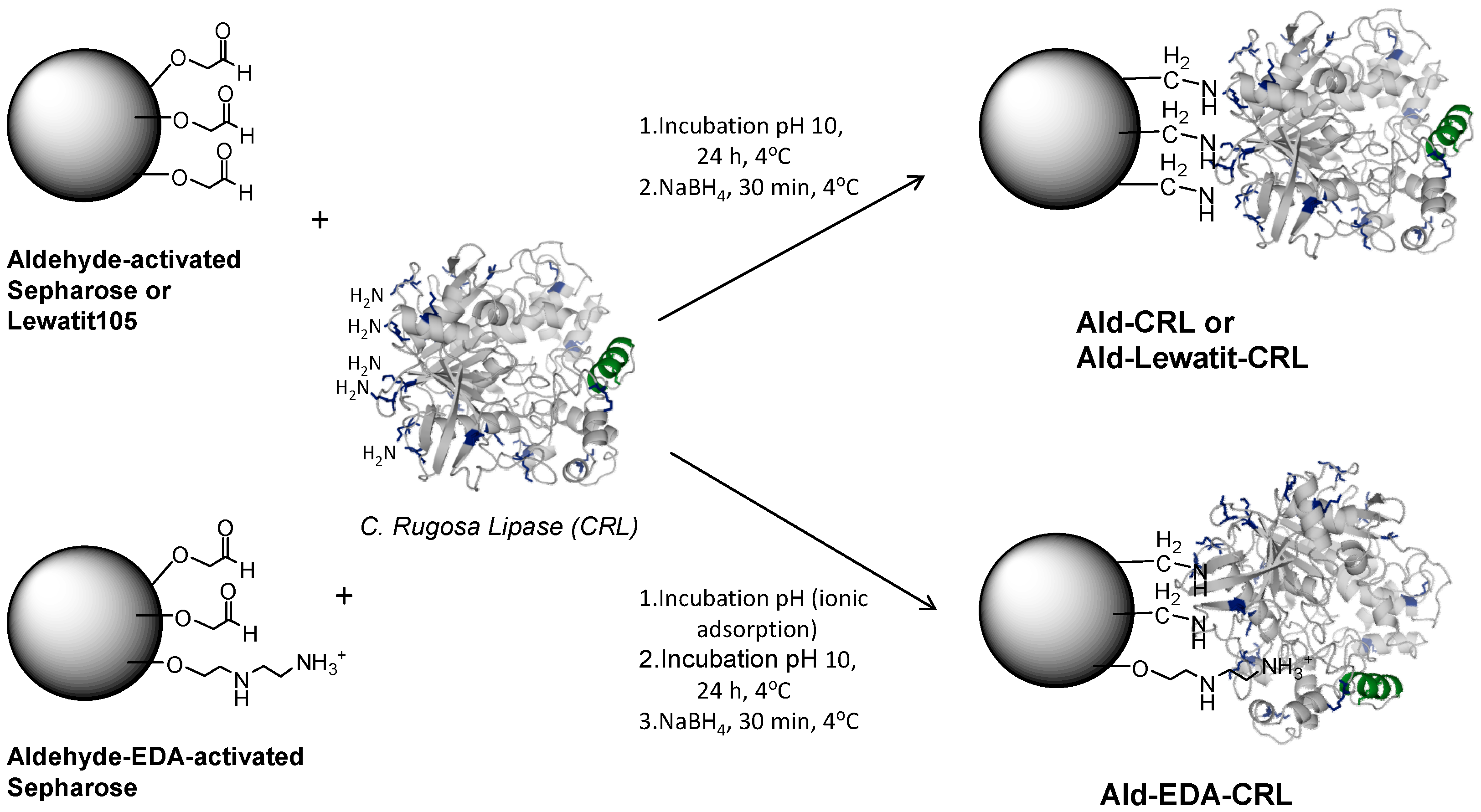 Catalysts 06 00115 sch001