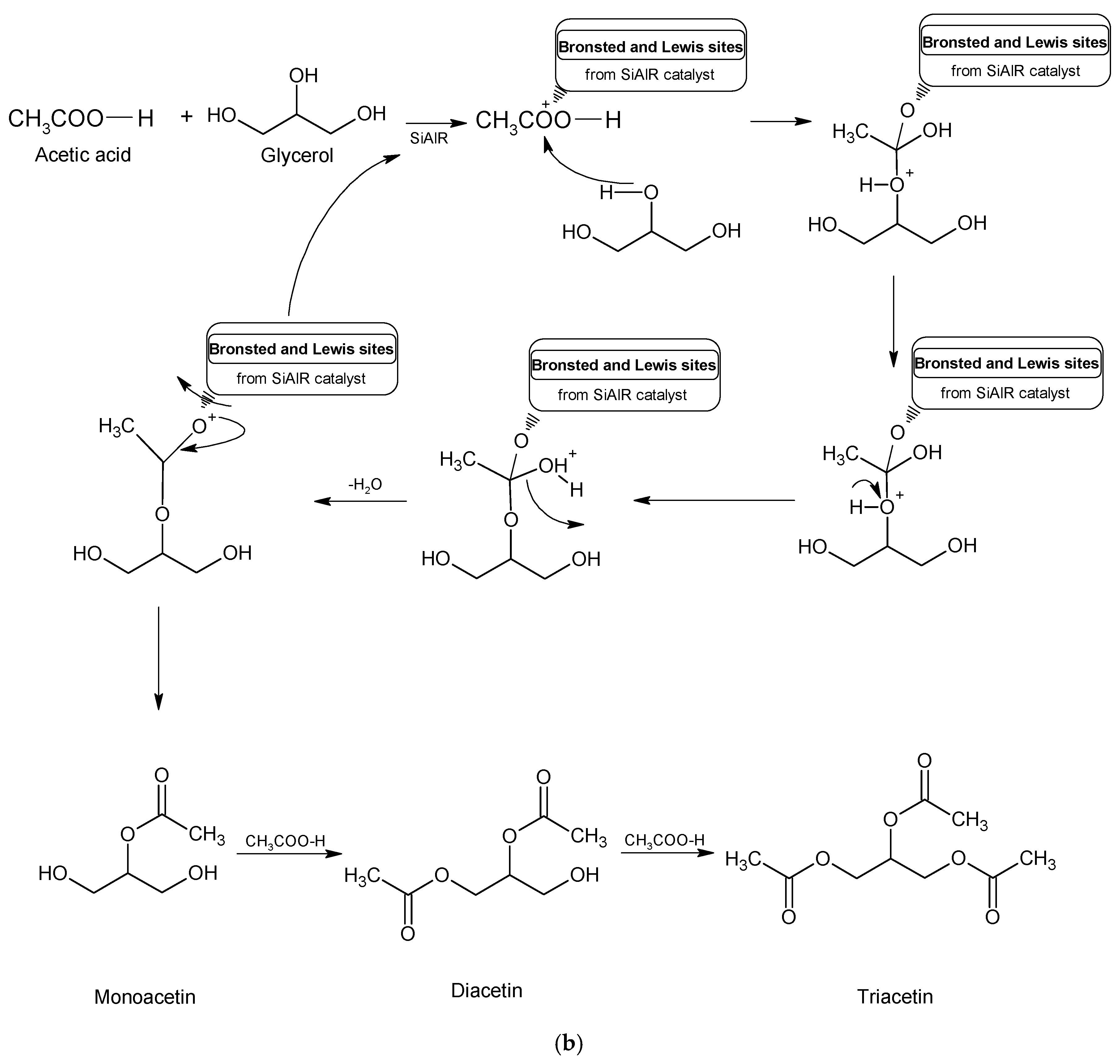 Catalysts 06 00151 g007b