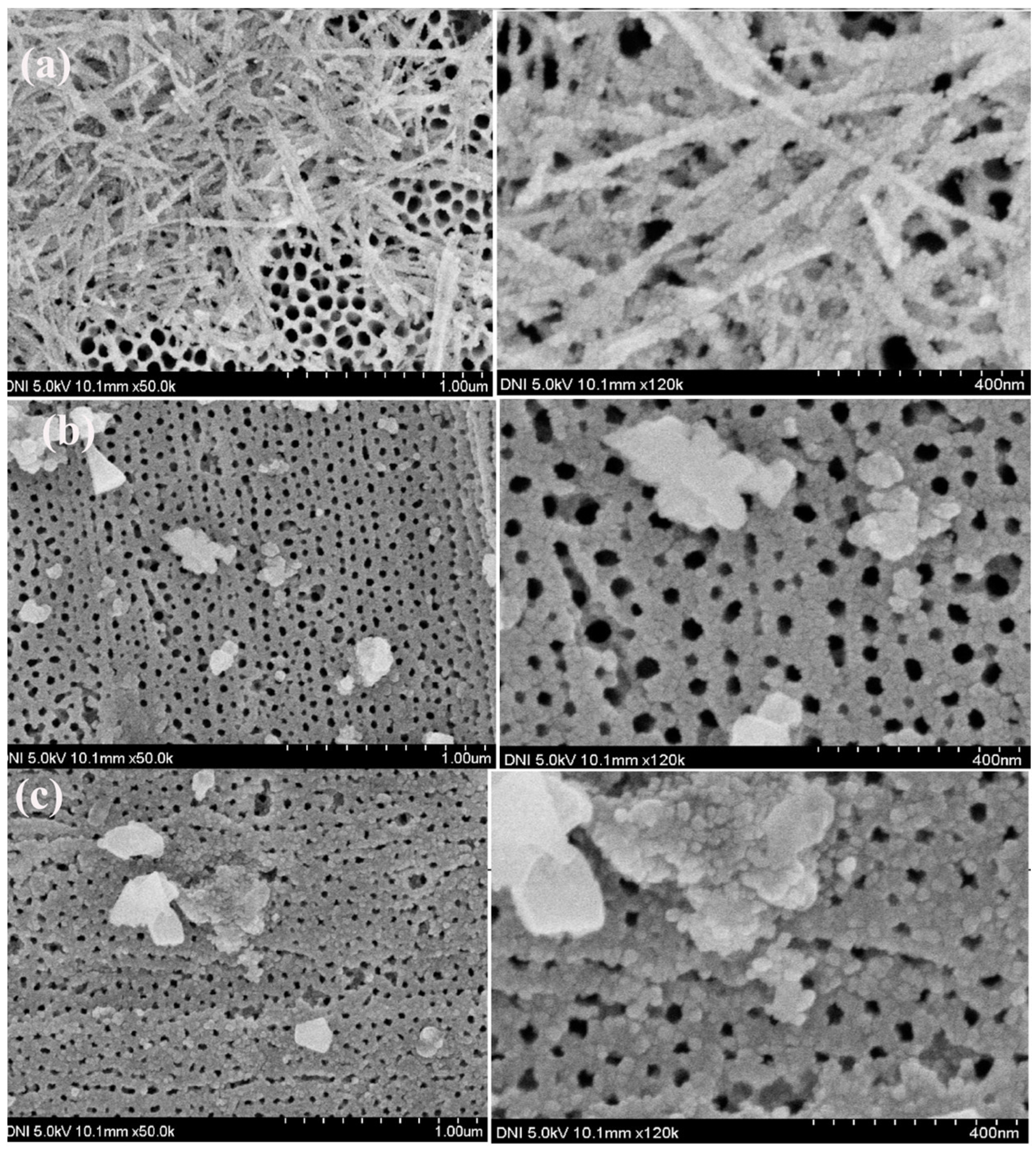 Catalysts 06 00154 g003