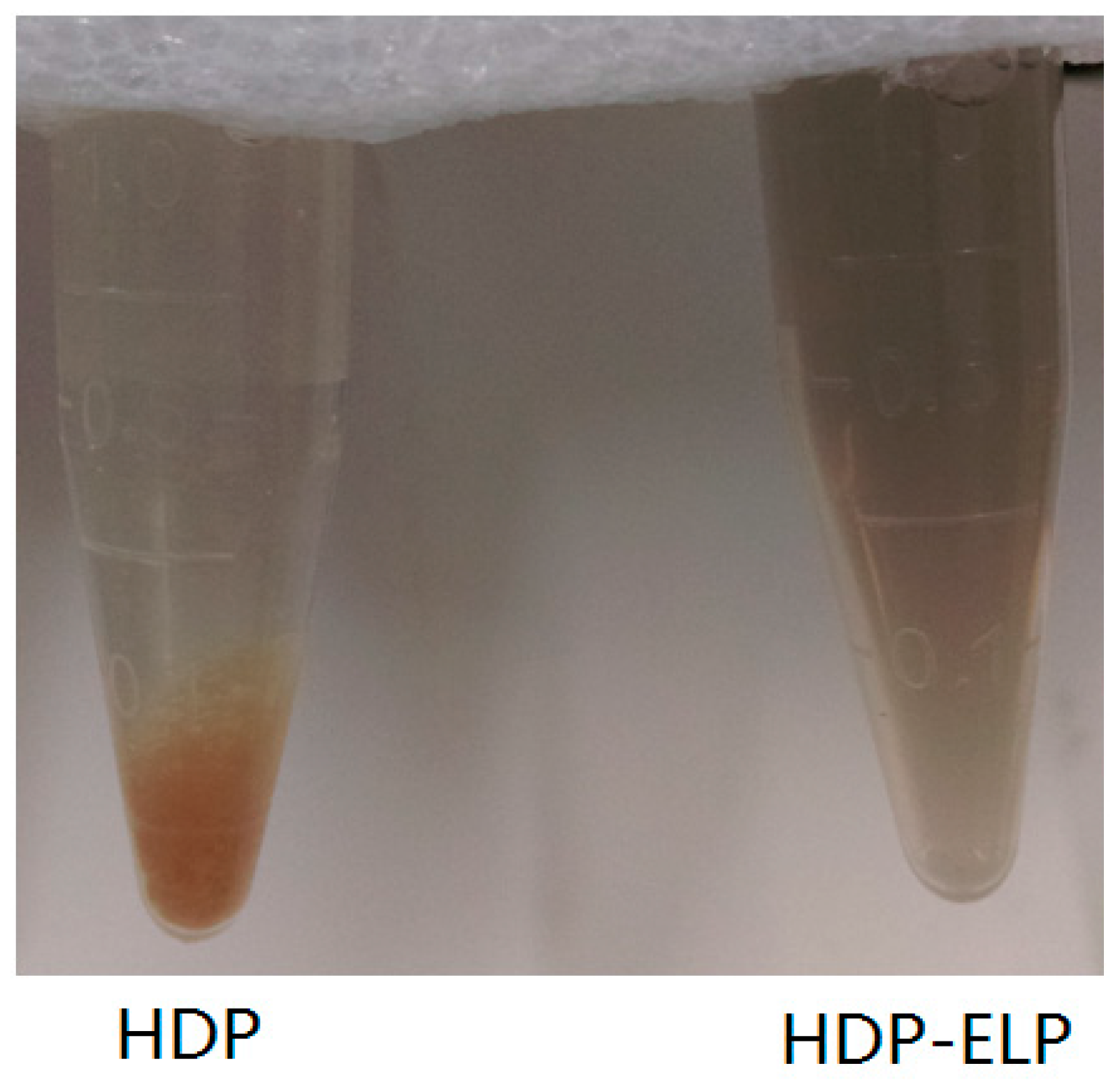 Catalysts 06 00166 g003