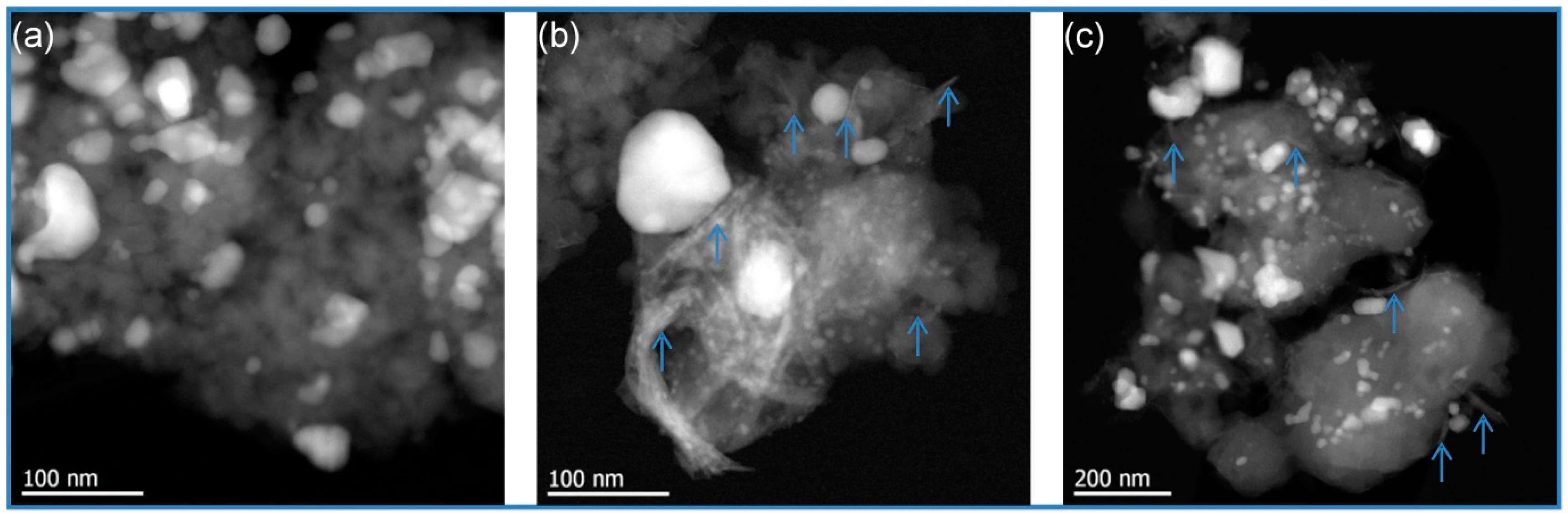 Catalysts 06 00176 g005