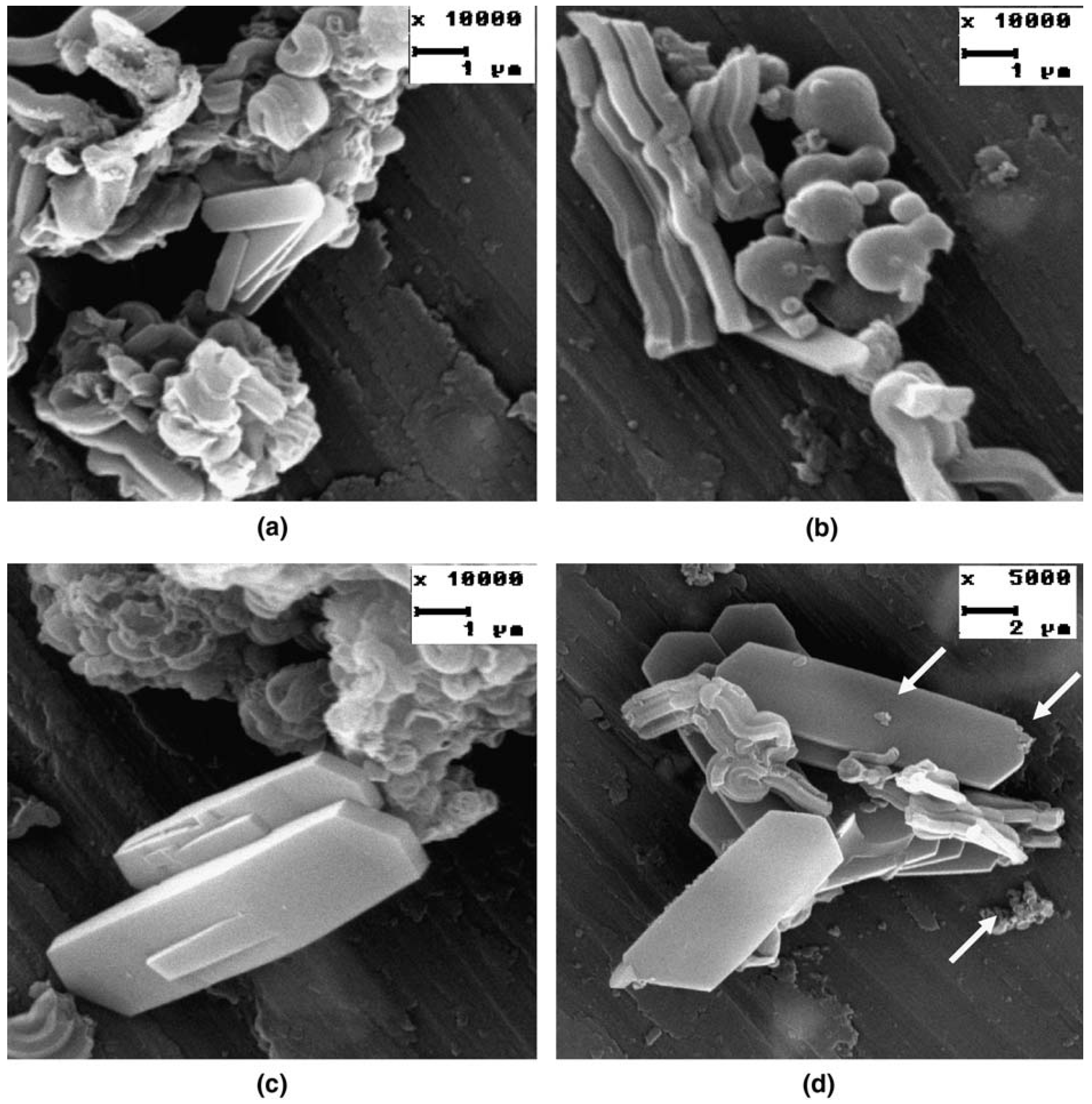 Catalysts 06 00183 g008