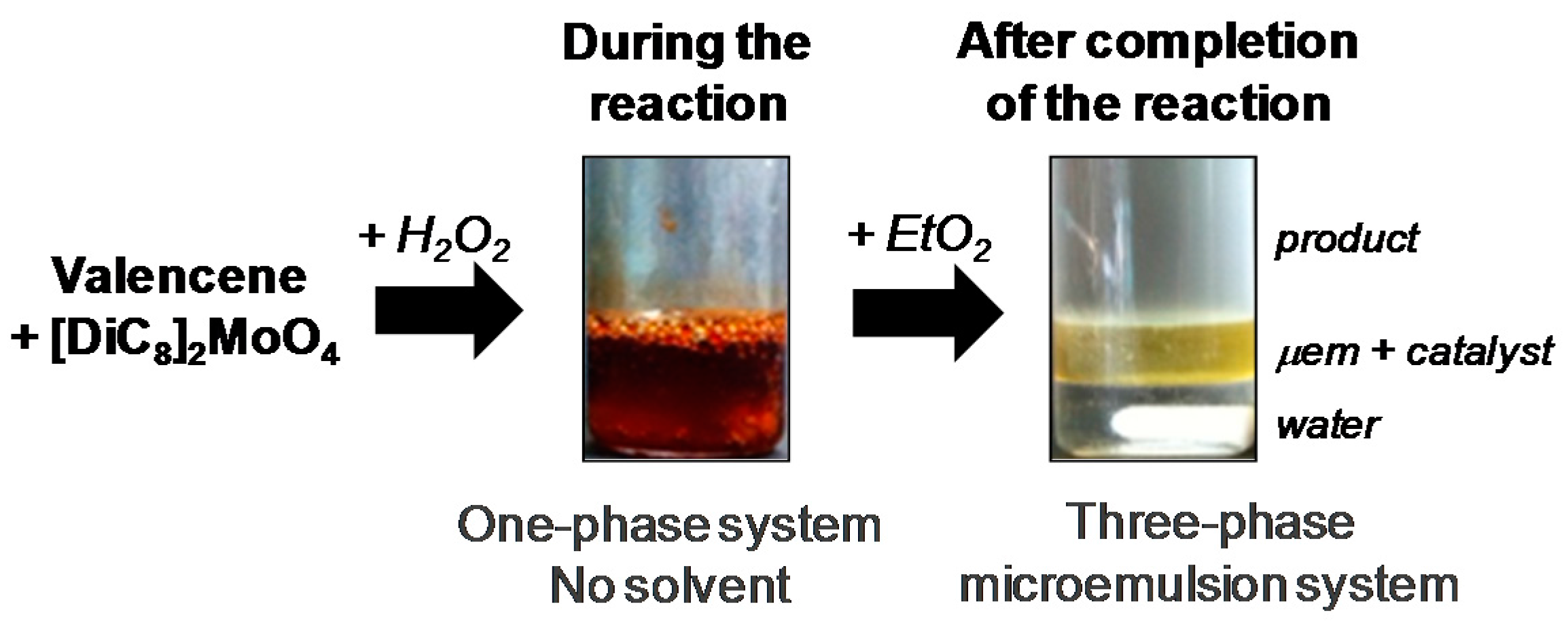 Catalysts 06 00184 g007