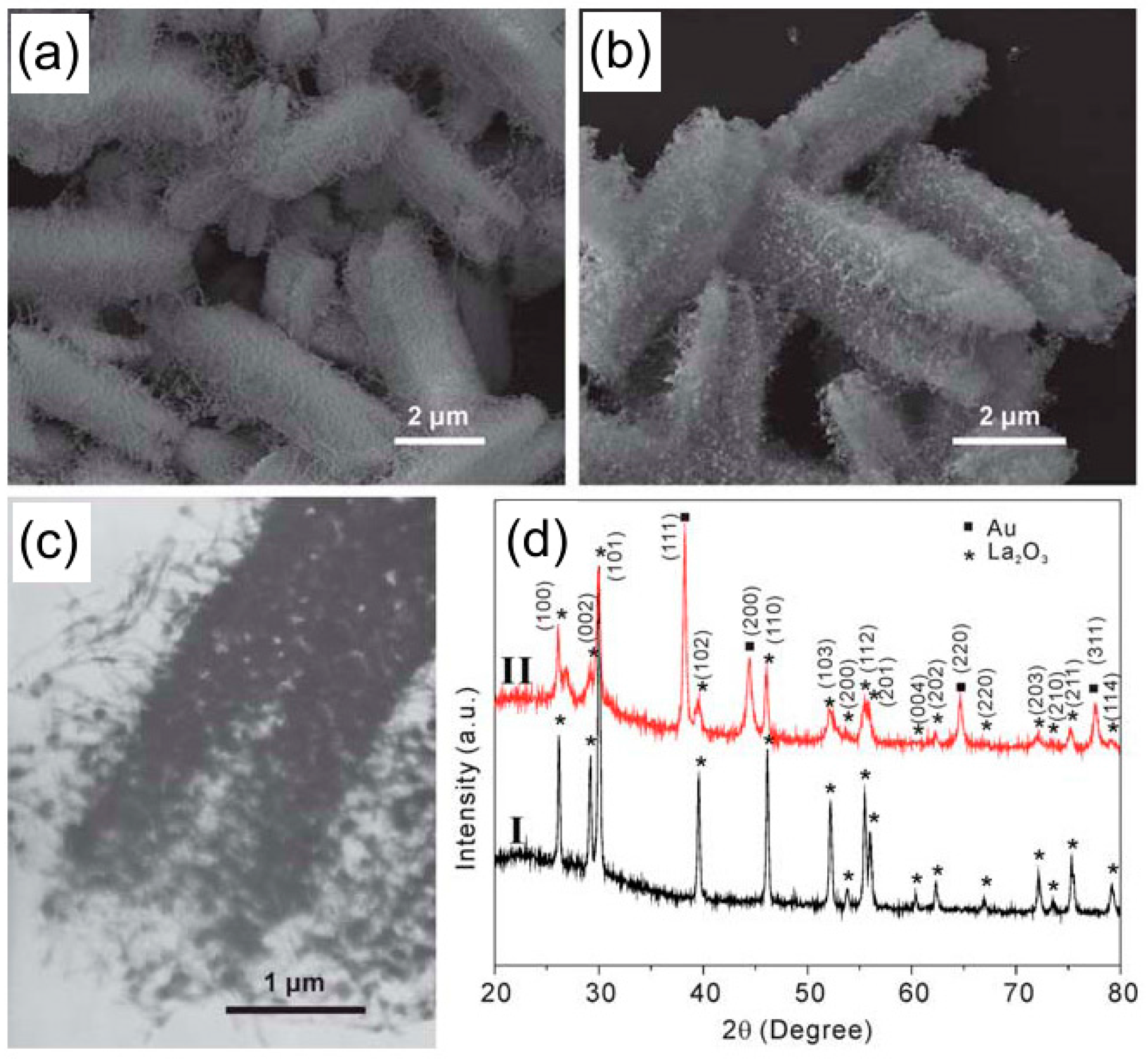 Catalysts 06 00210 g004