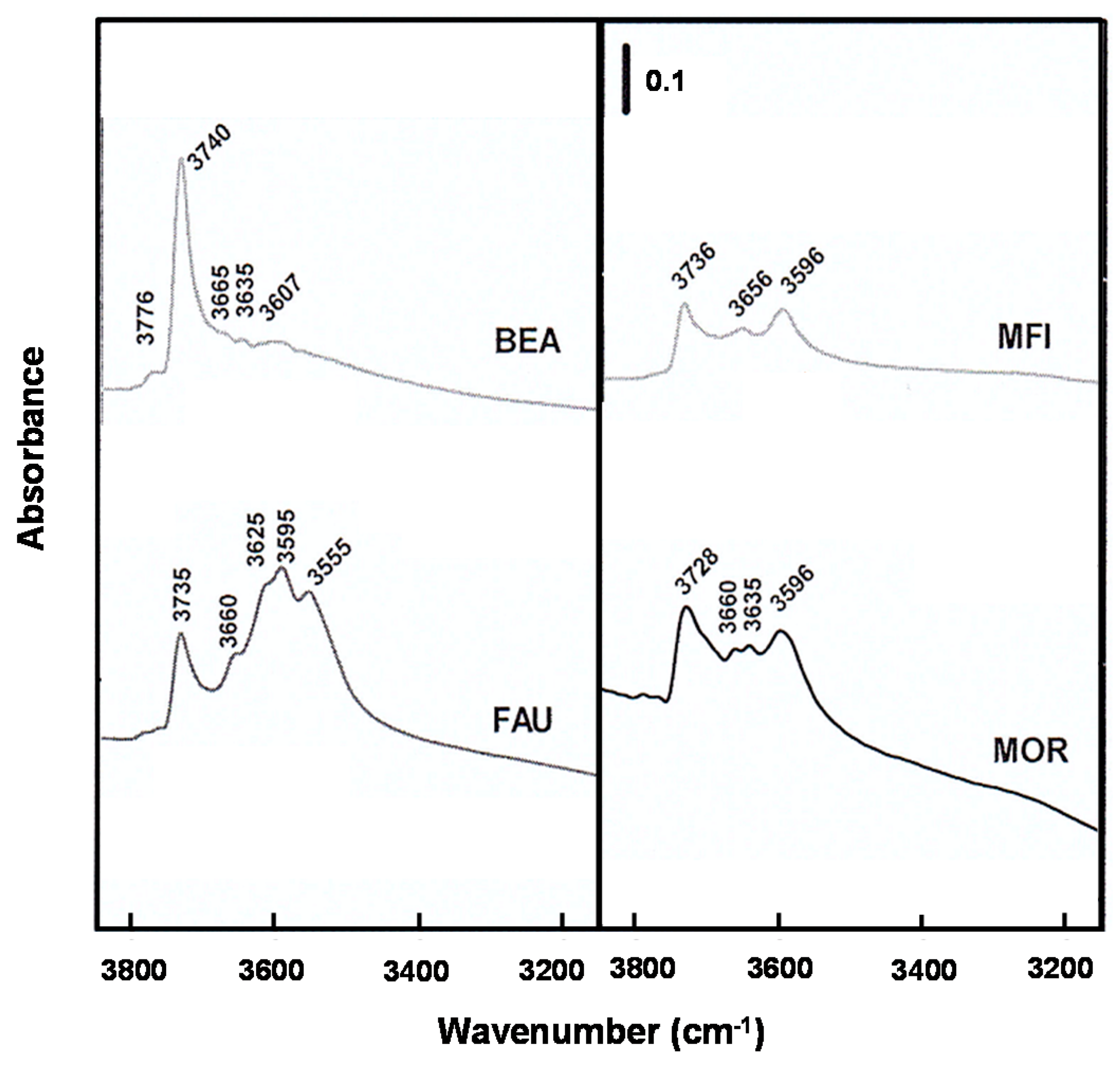 Catalysts 06 00216 g004