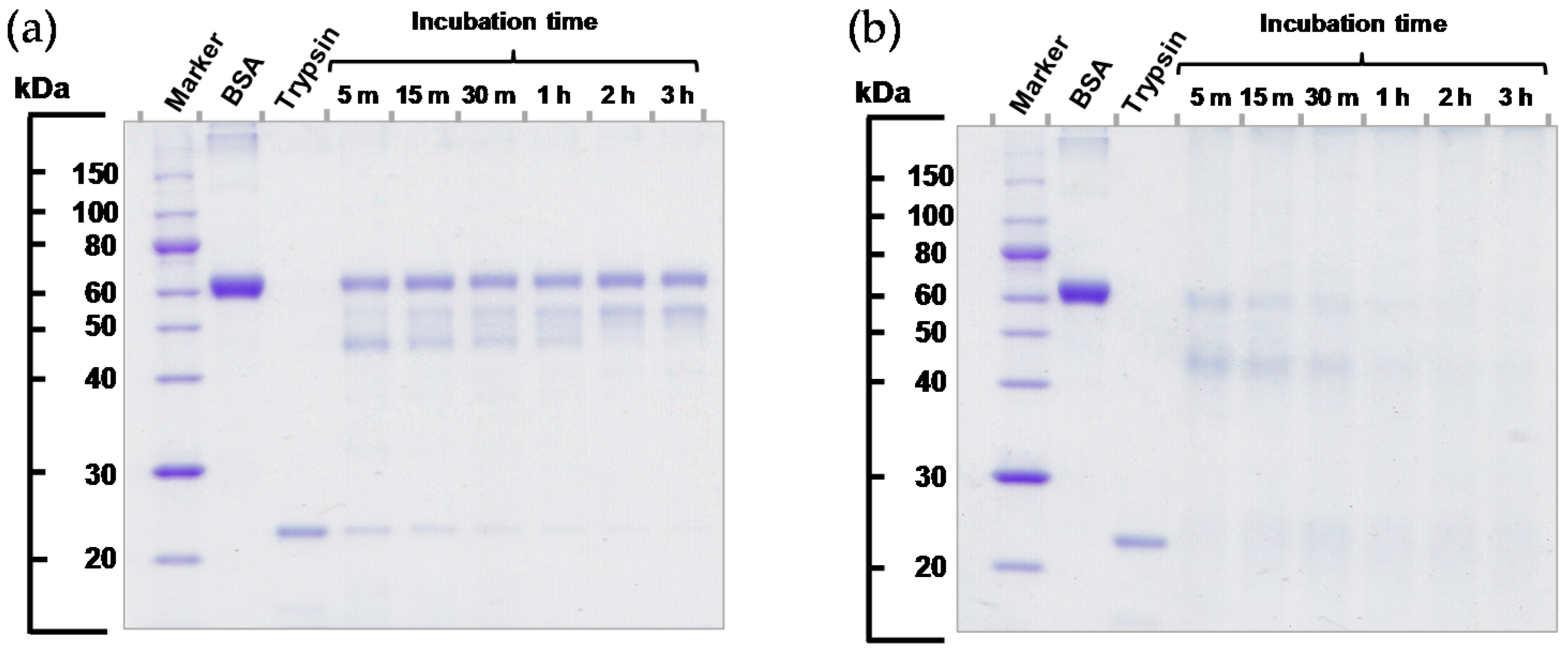 Catalysts 07 00004 g004