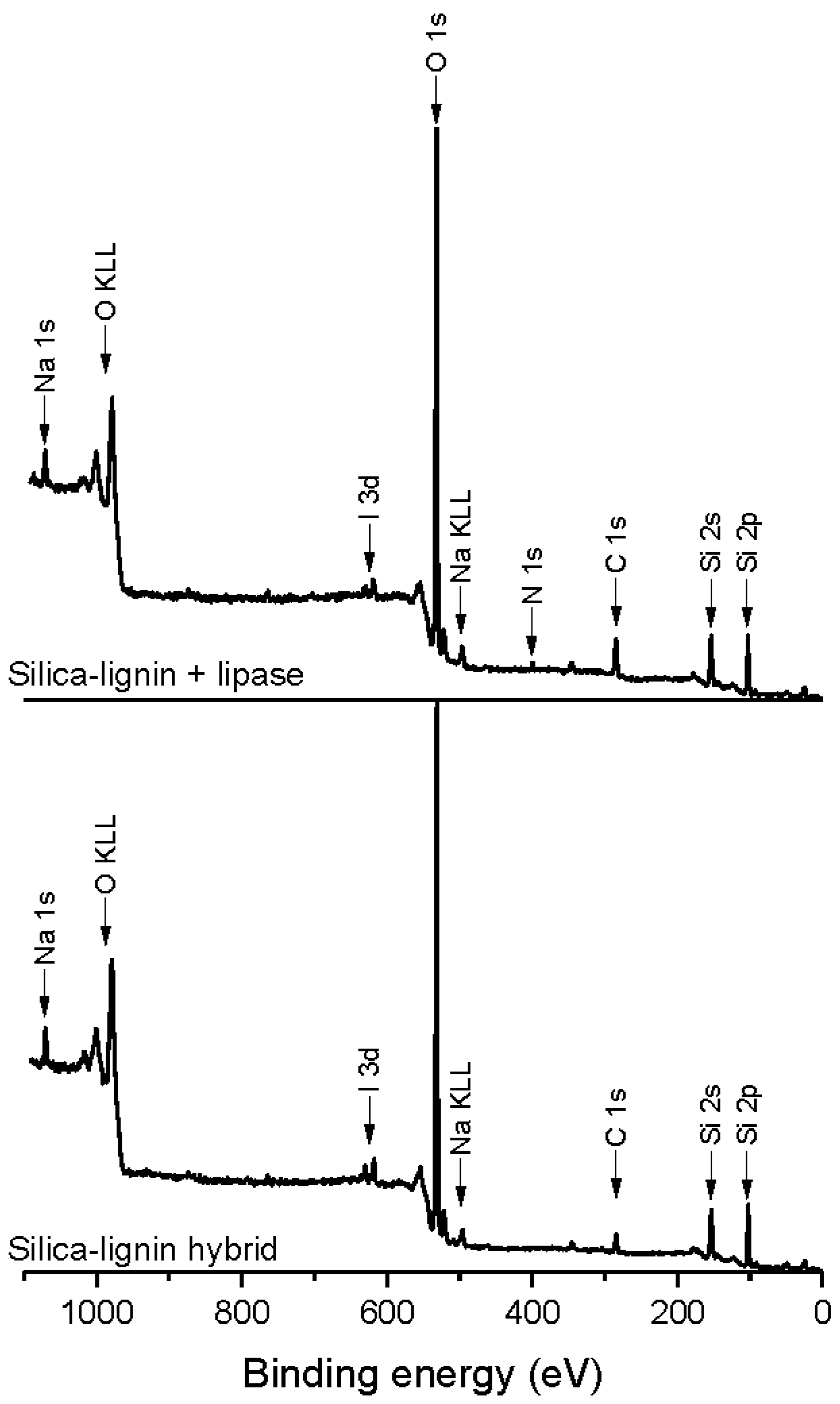 Catalysts 07 00014 g003