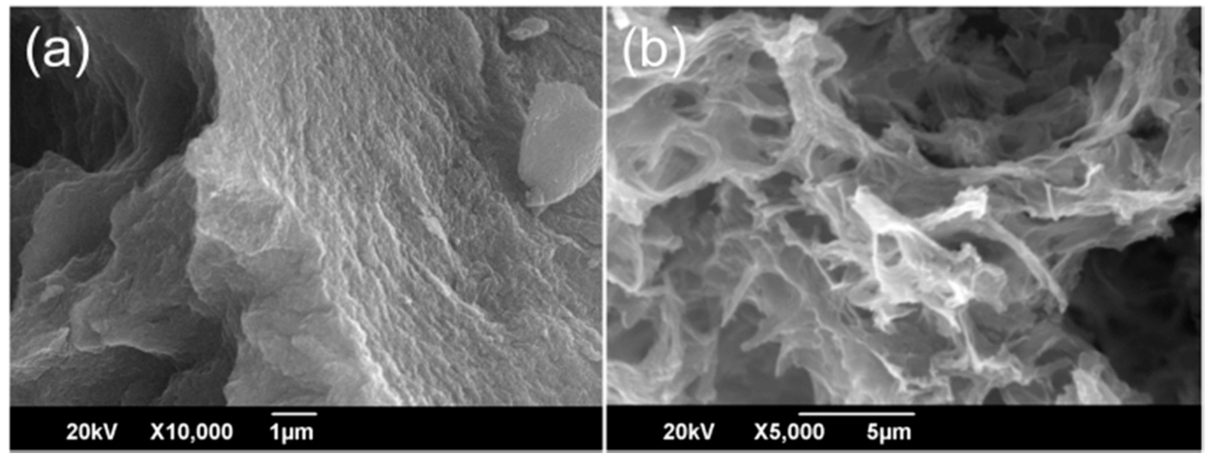 Catalysts 07 00023 g003
