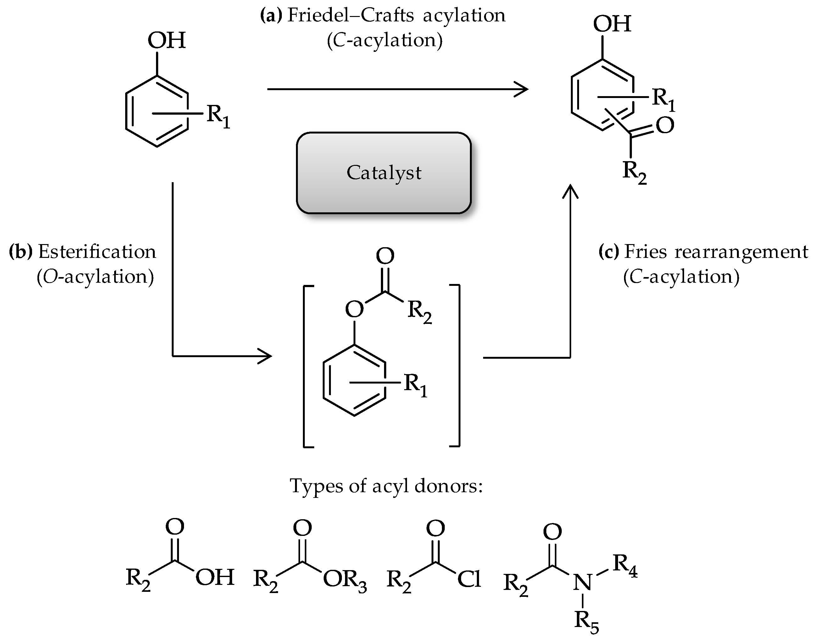 Catalysts 07 00040 g001