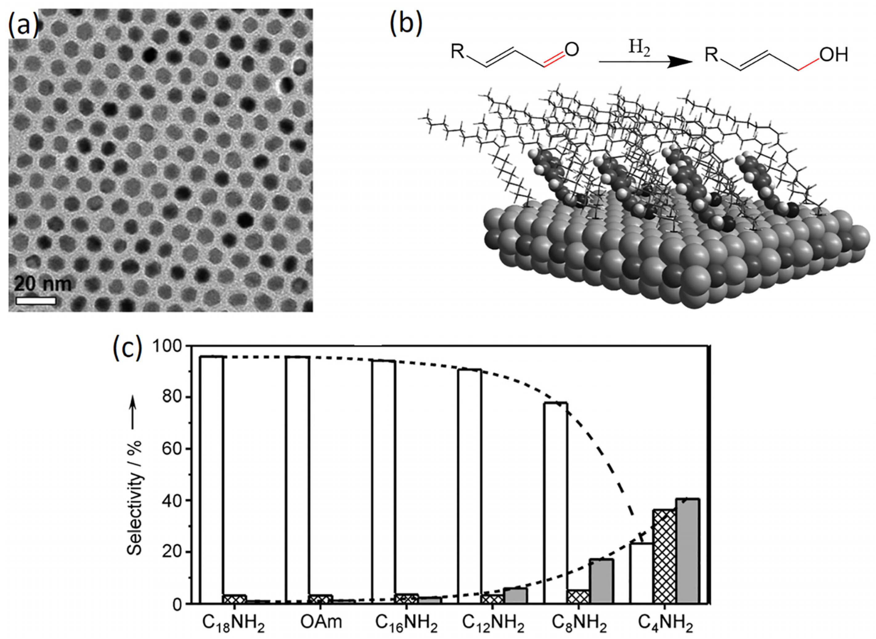 Catalysts 07 00044 g002