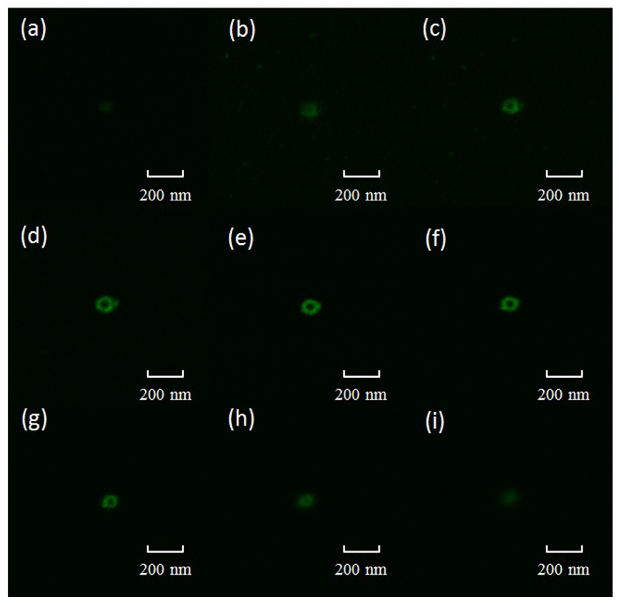 Catalysts 07 00049 g003