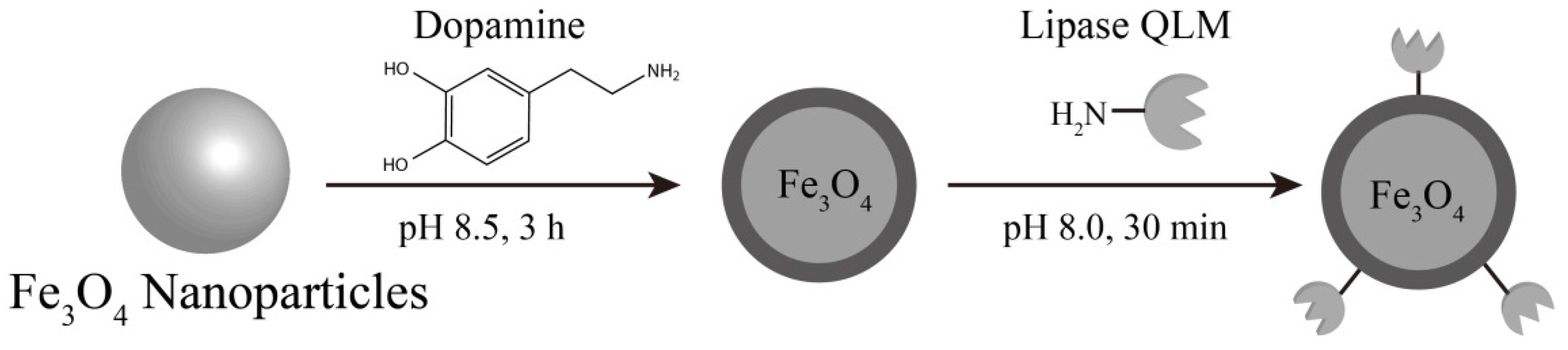 Catalysts 07 00049 sch001
