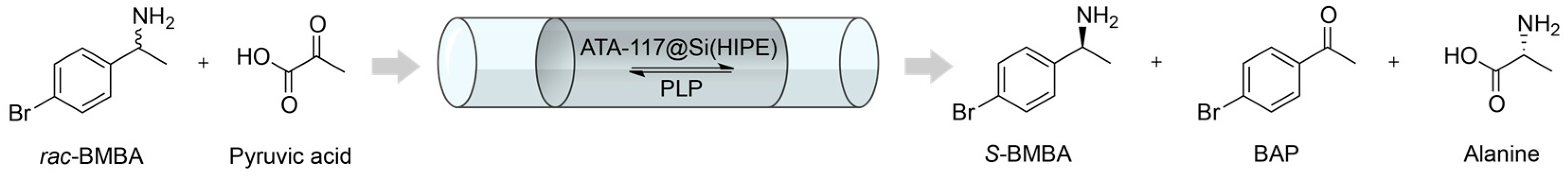 Catalysts 07 00054 g005