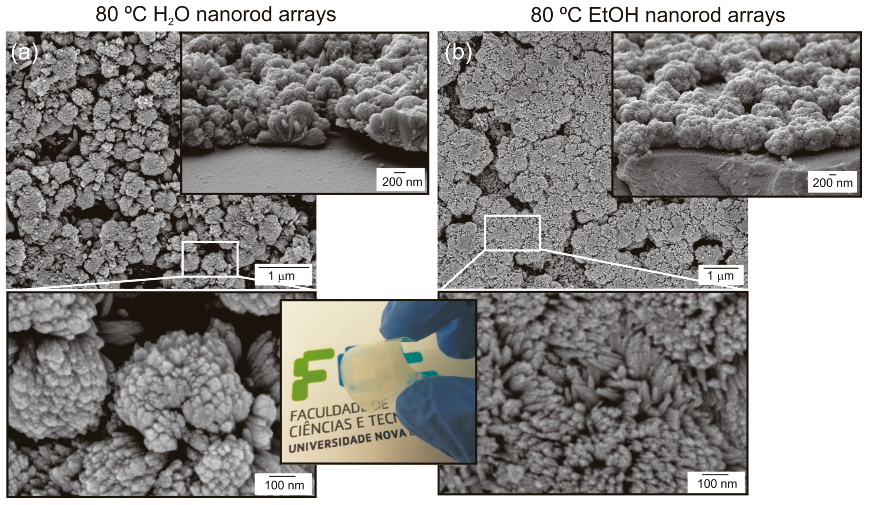 Catalysts 07 00060 g005