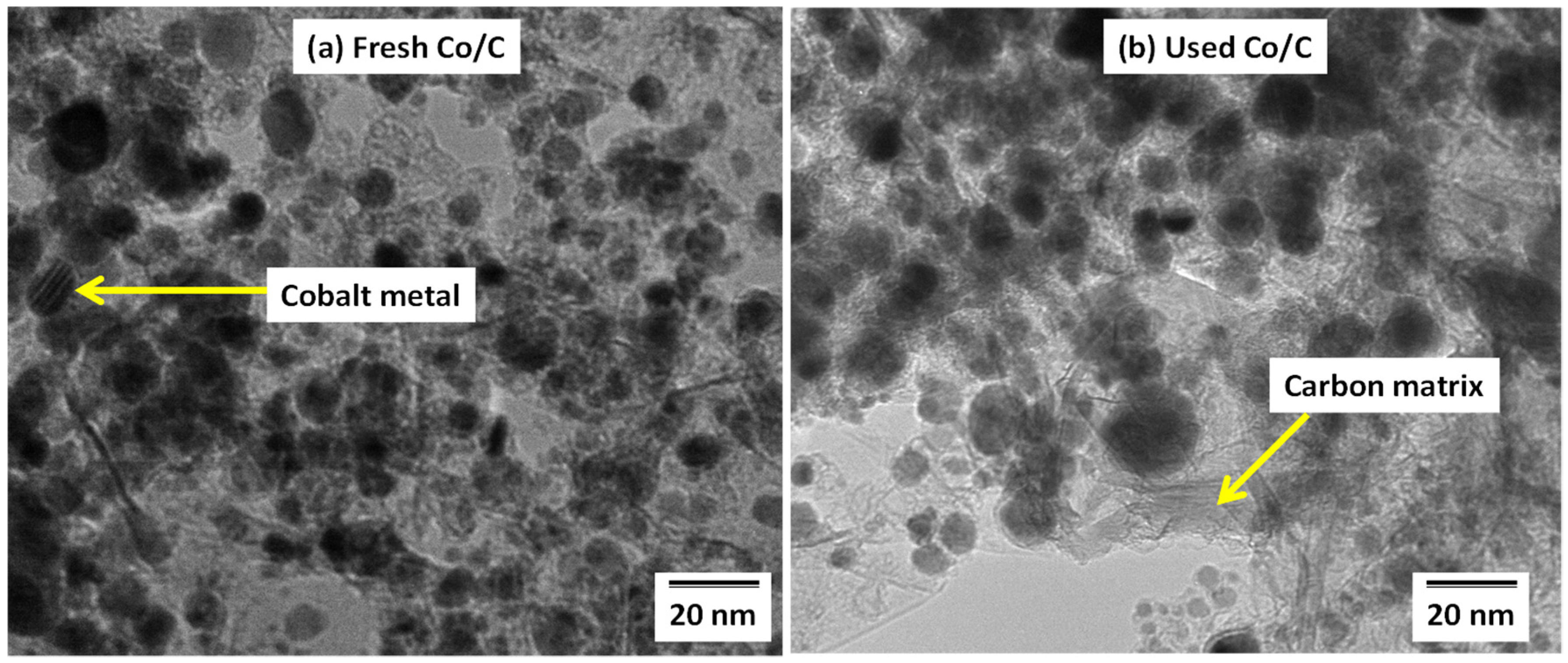 Catalysts 07 00069 g002