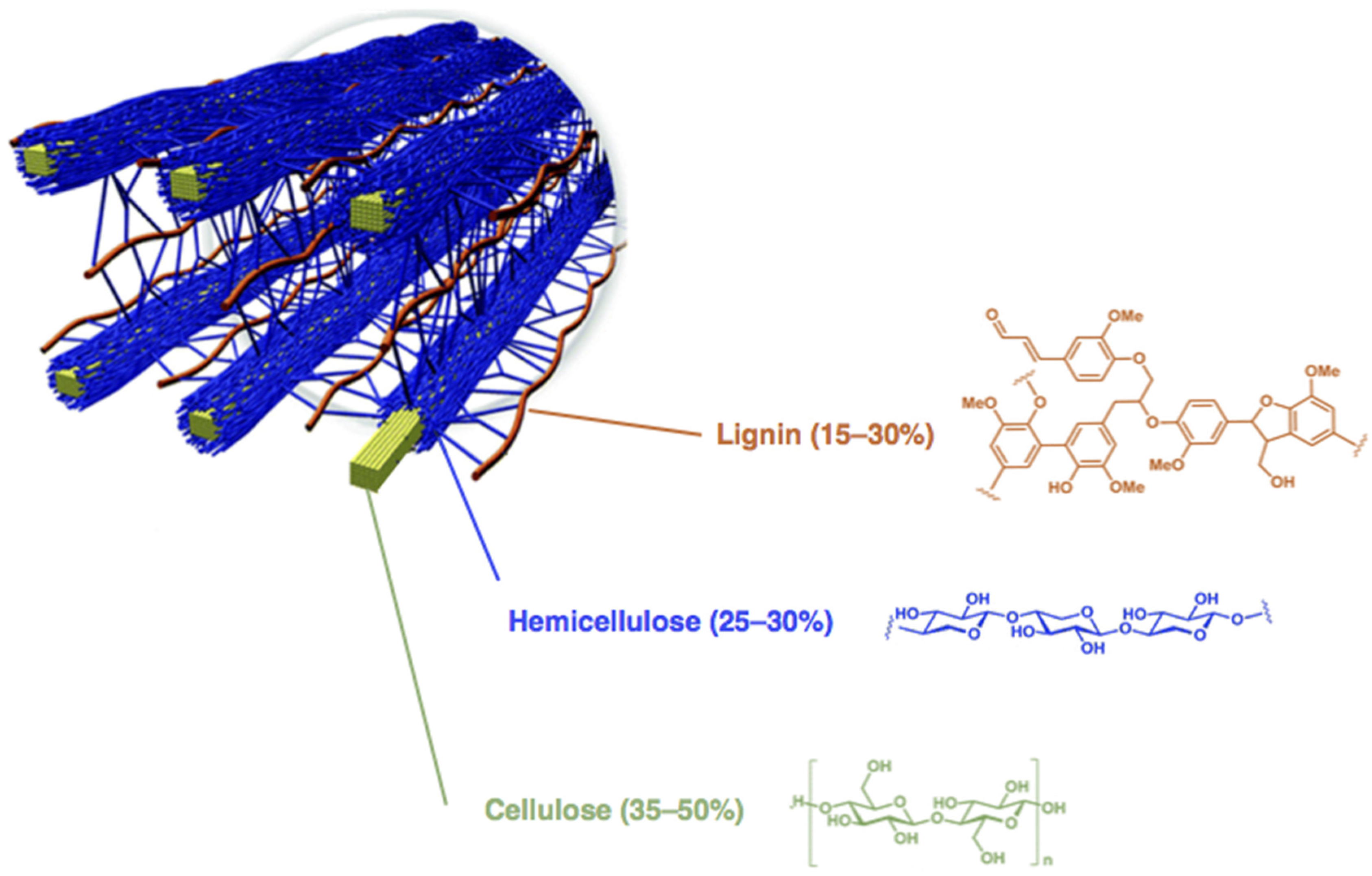 Catalysts 07 00078 g001