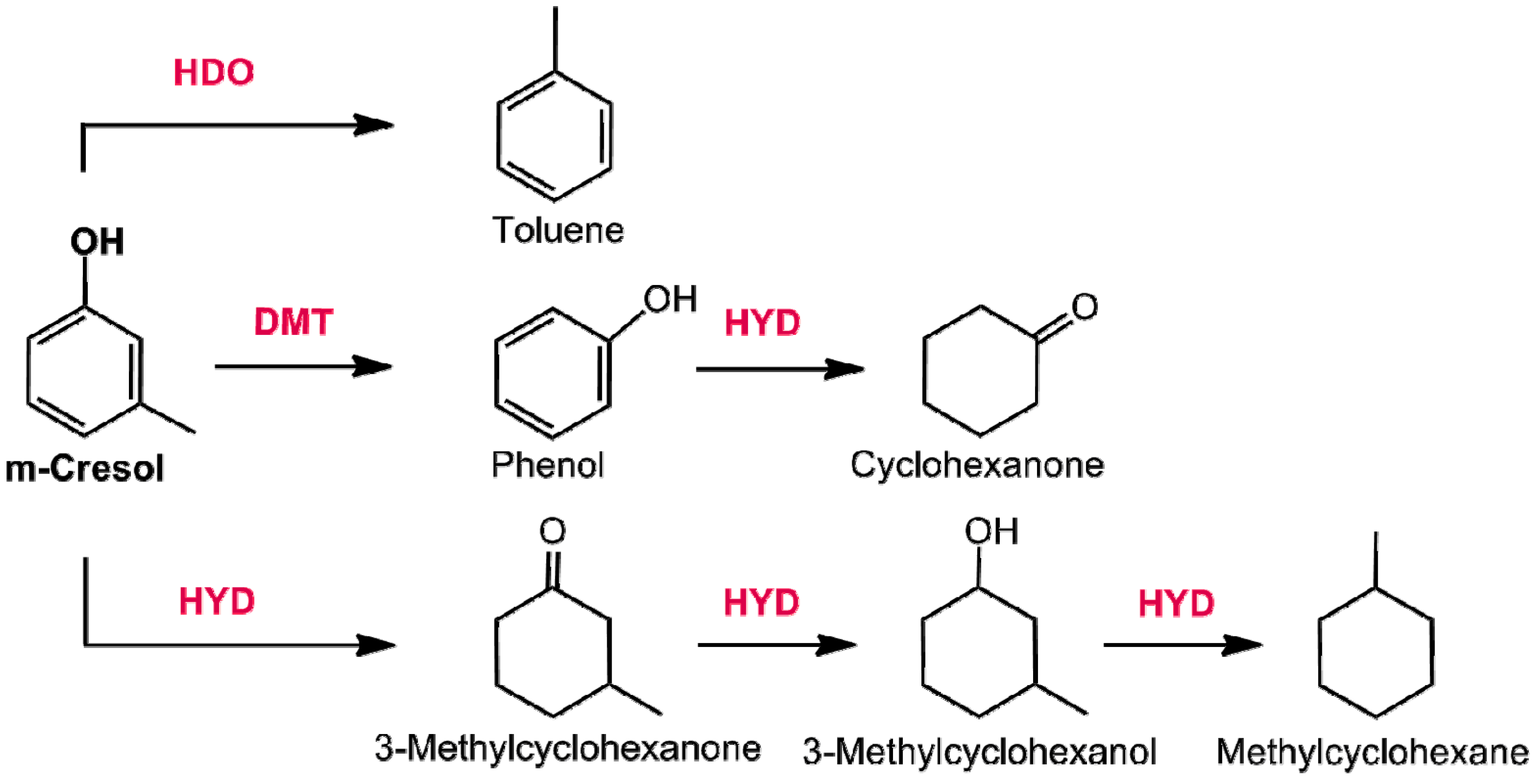 Catalysts 07 00078 g016