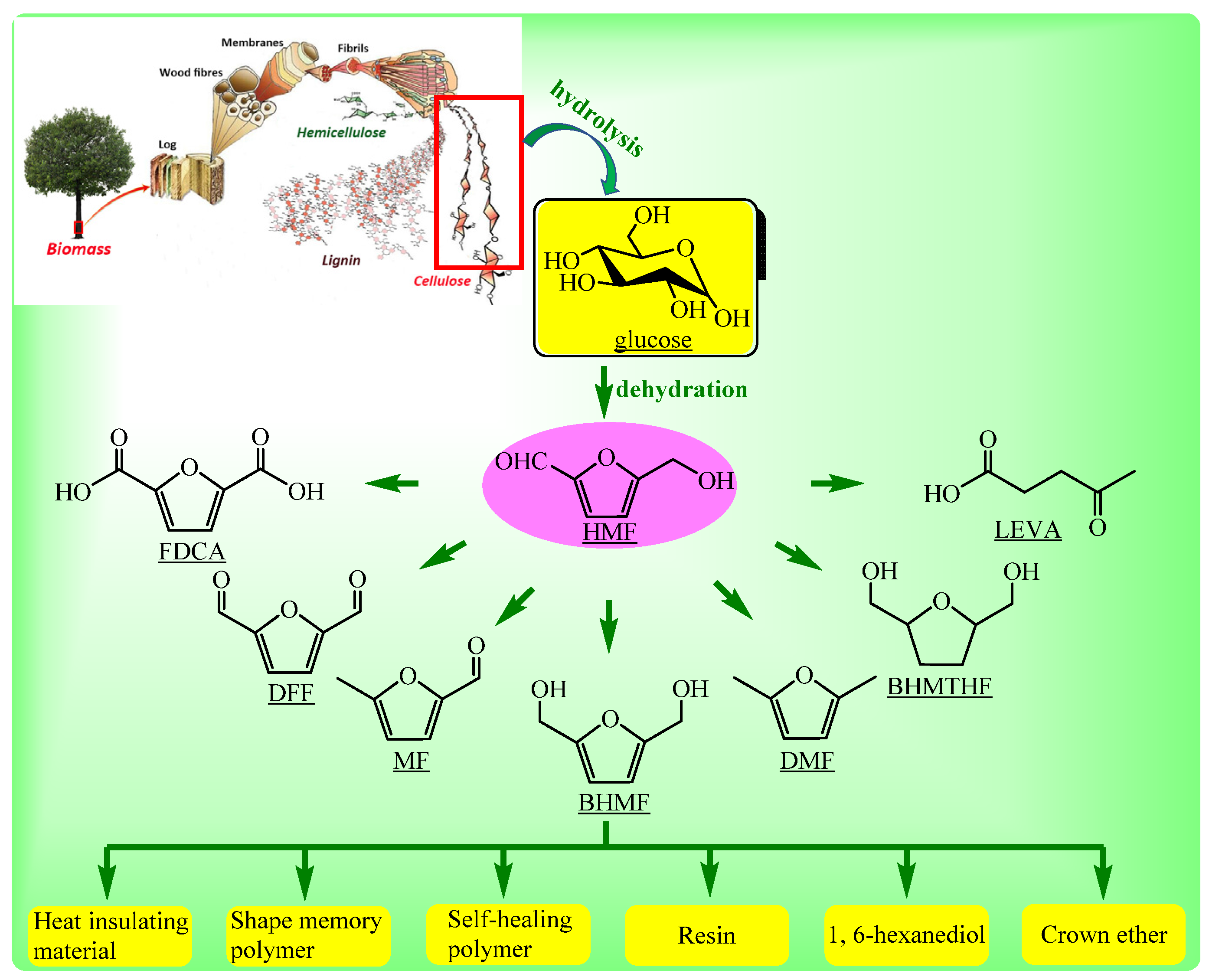 Catalysts 07 00092 g001