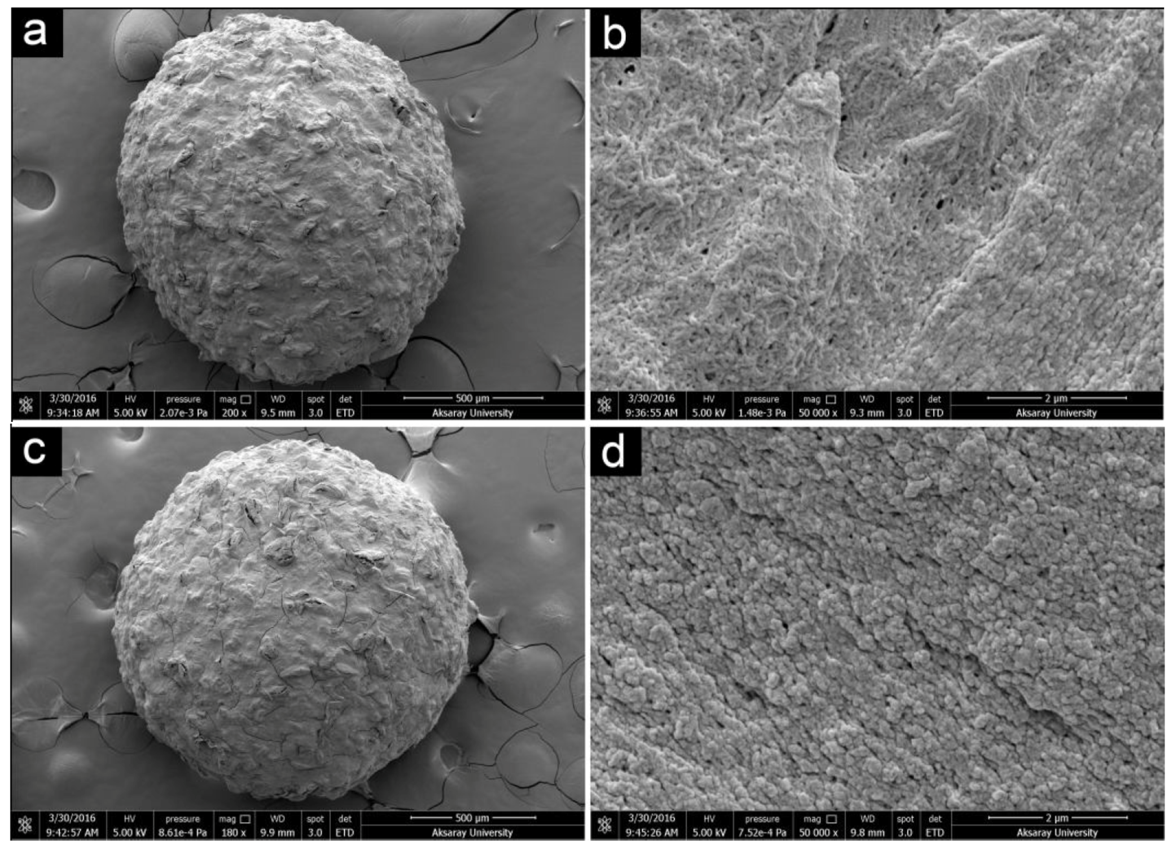 Catalysts 07 00098 g001
