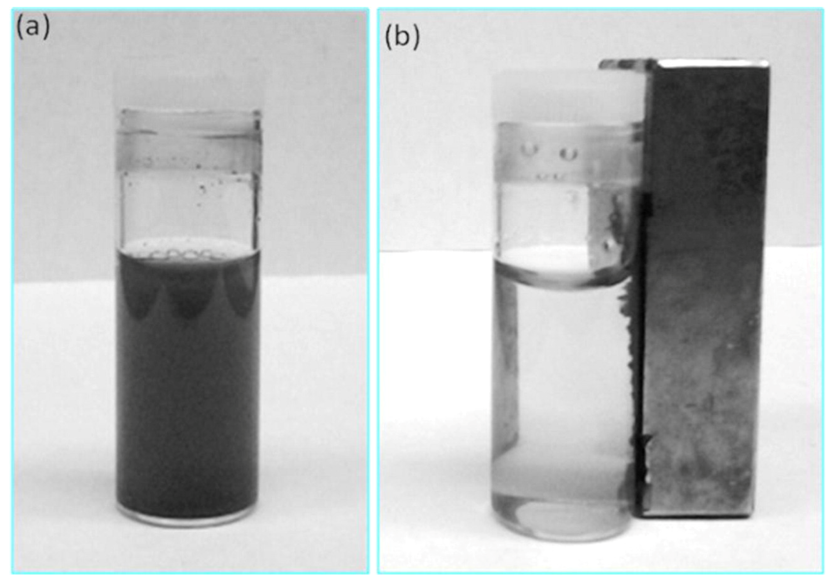 Catalysts 07 00098 g007