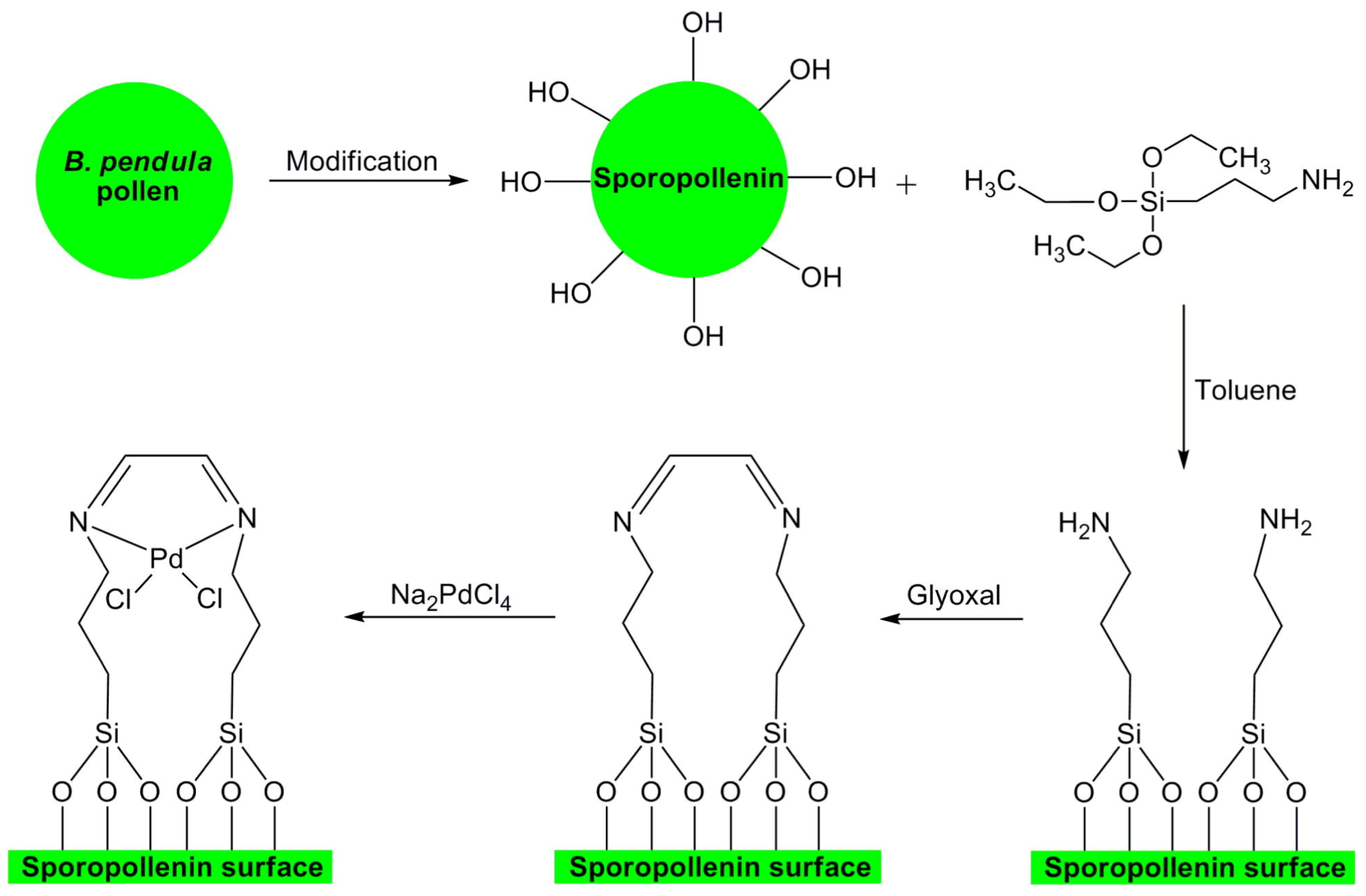 Catalysts 07 00098 sch052