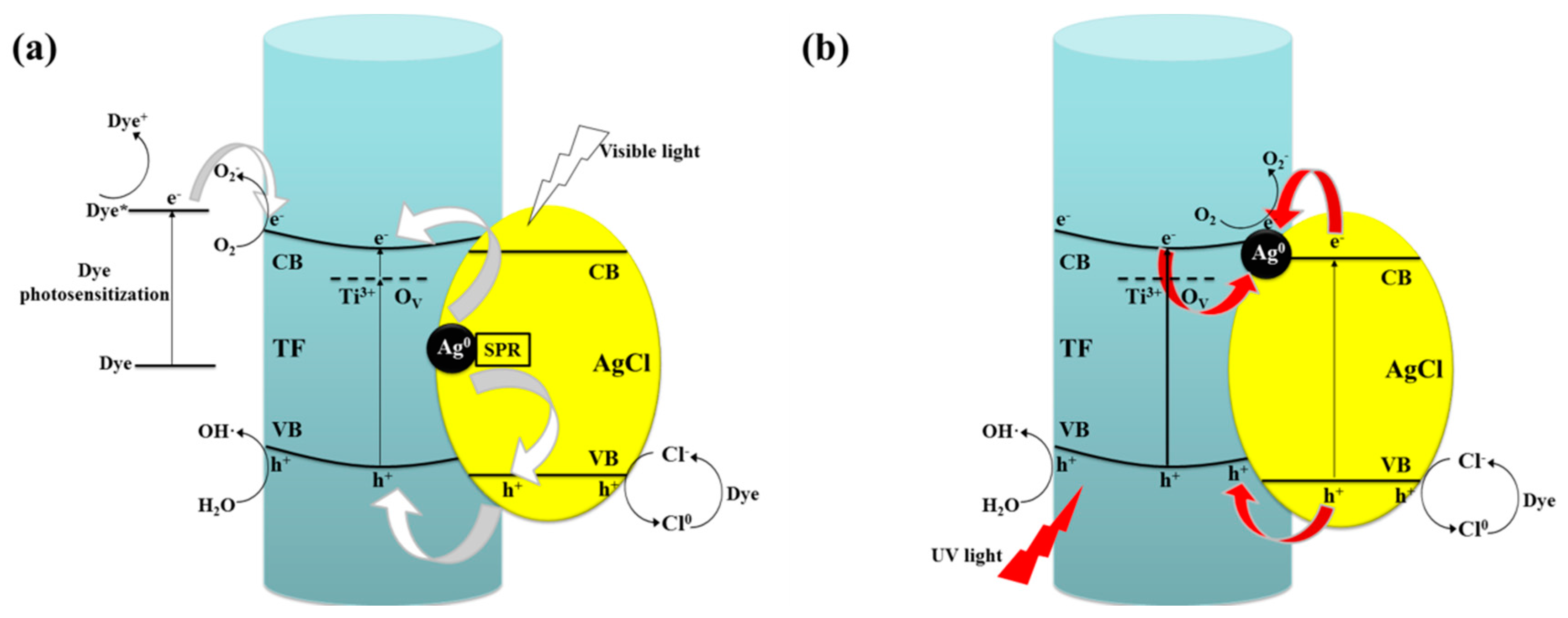 Catalysts 07 00117 g008