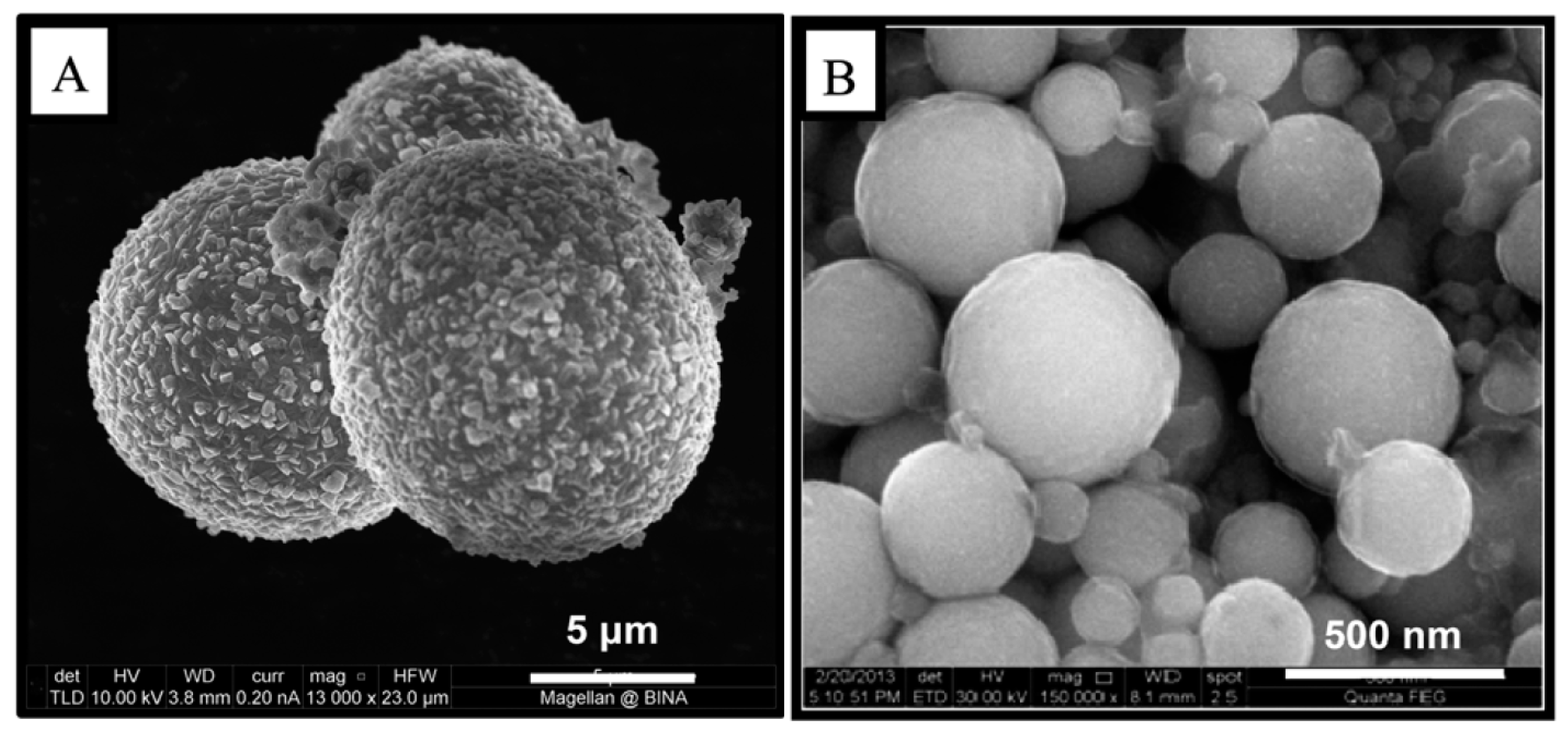 Catalysts 07 00121 g002