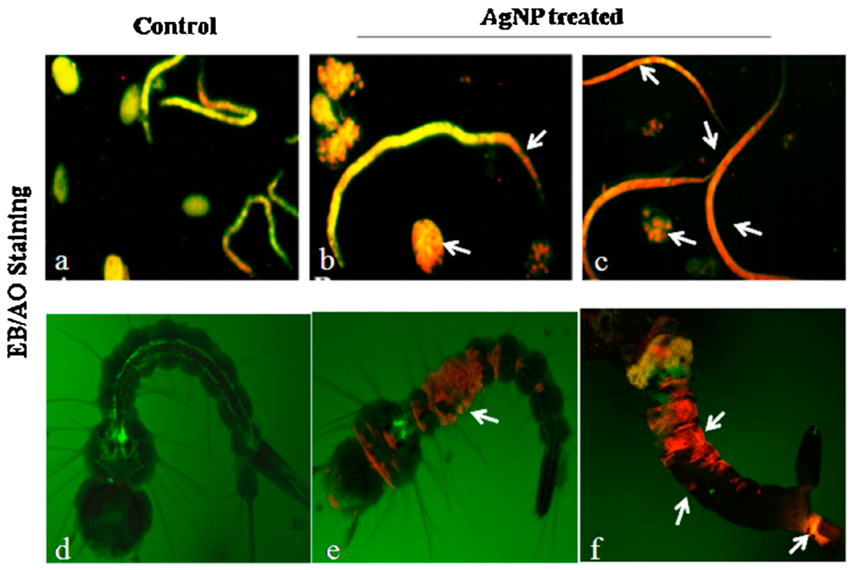 Catalysts 07 00121 g004