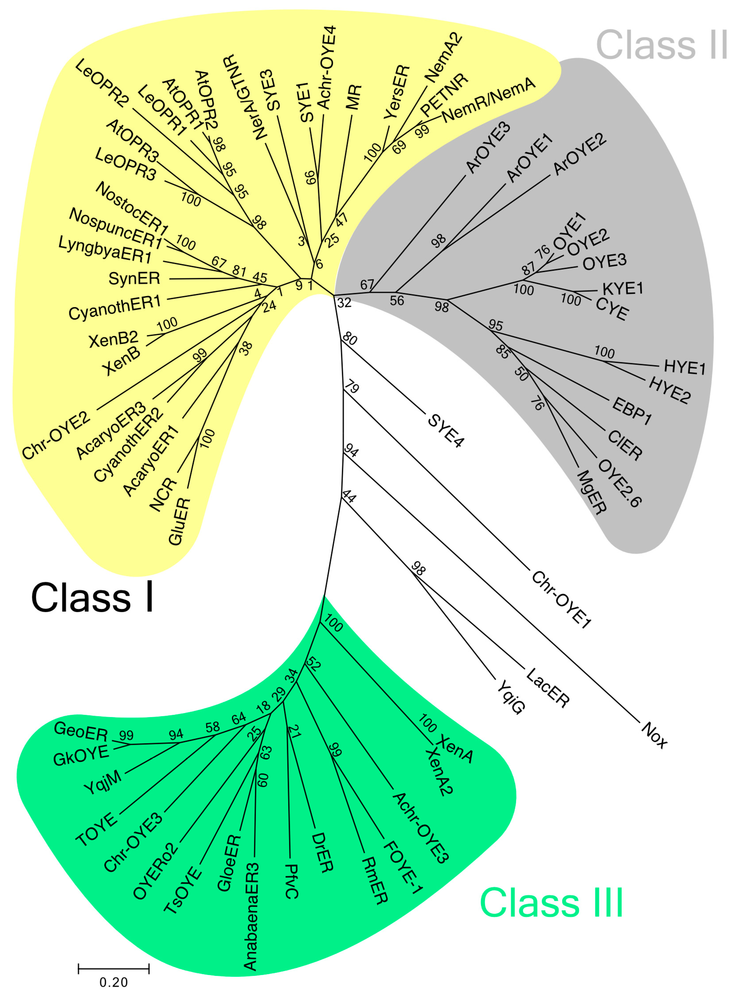 Catalysts 07 00130 g002