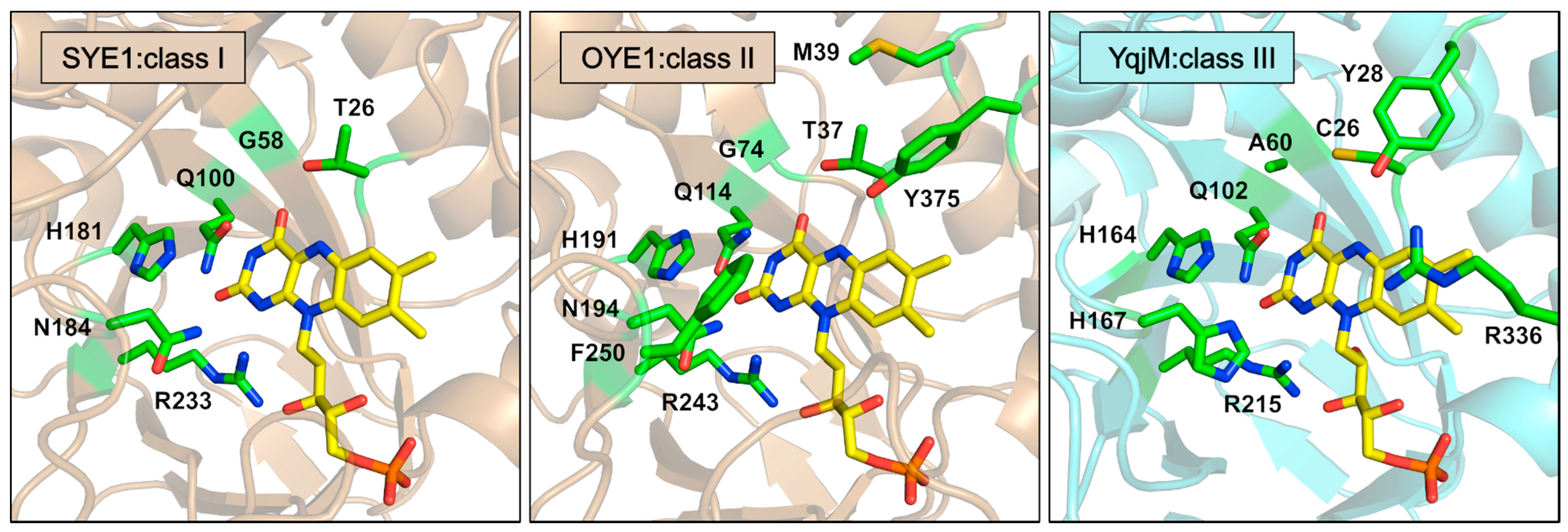 Catalysts 07 00130 g004