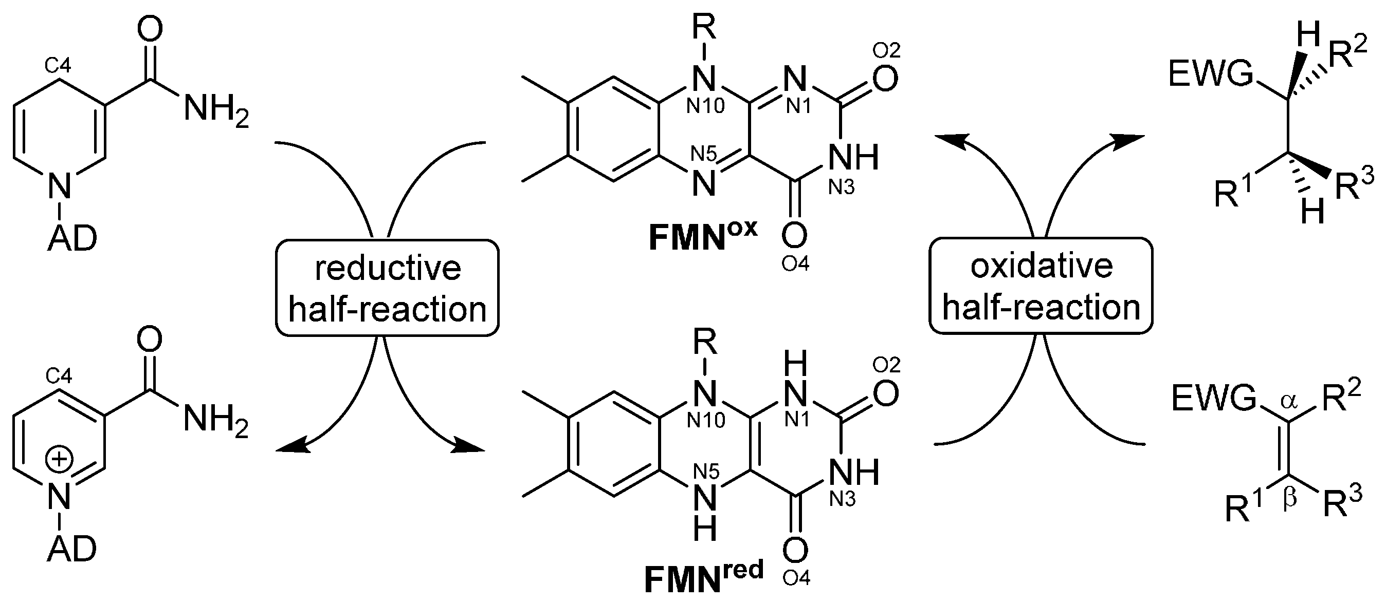 Catalysts 07 00130 sch001
