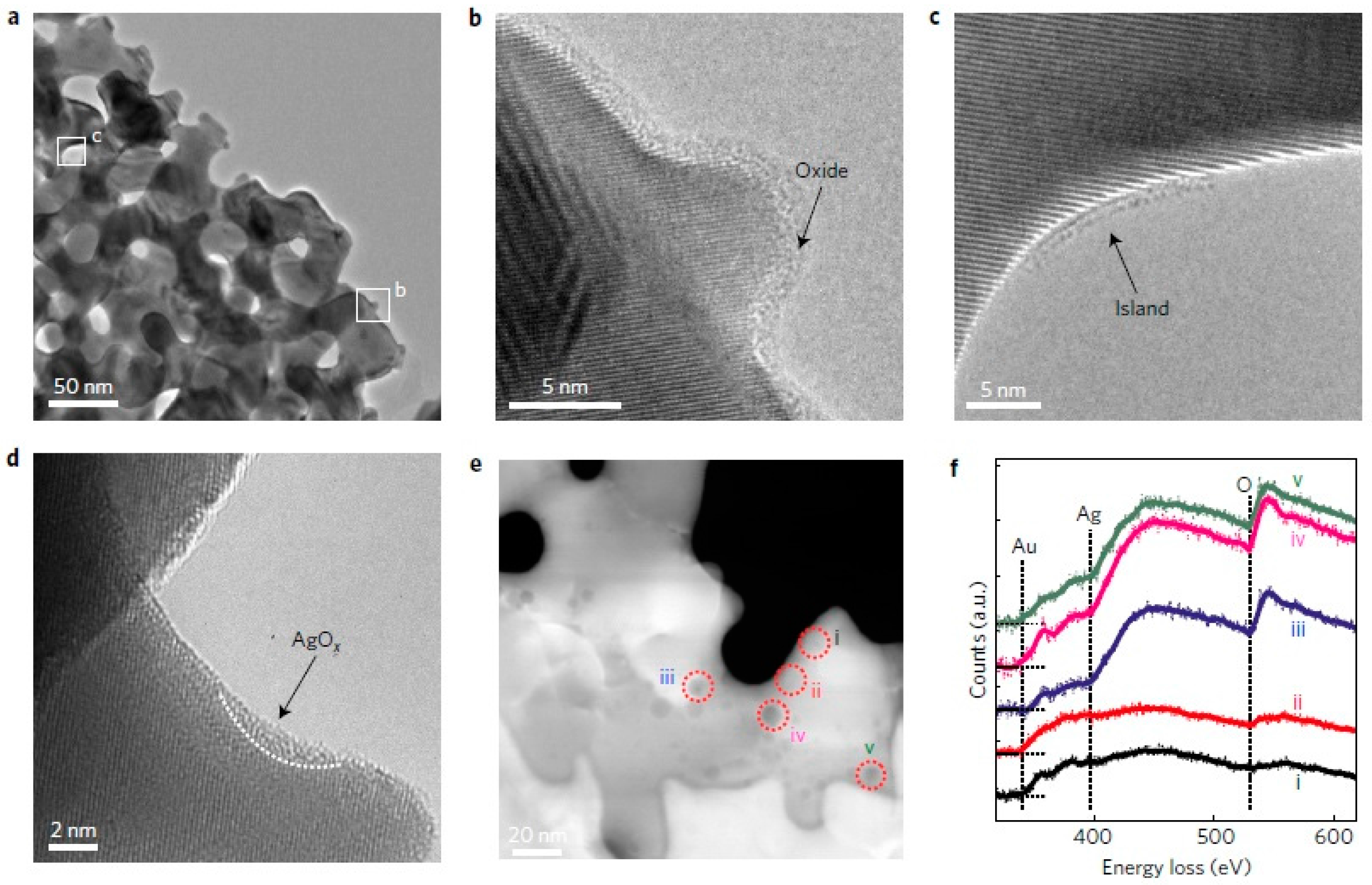 Catalysts 07 00134 g024