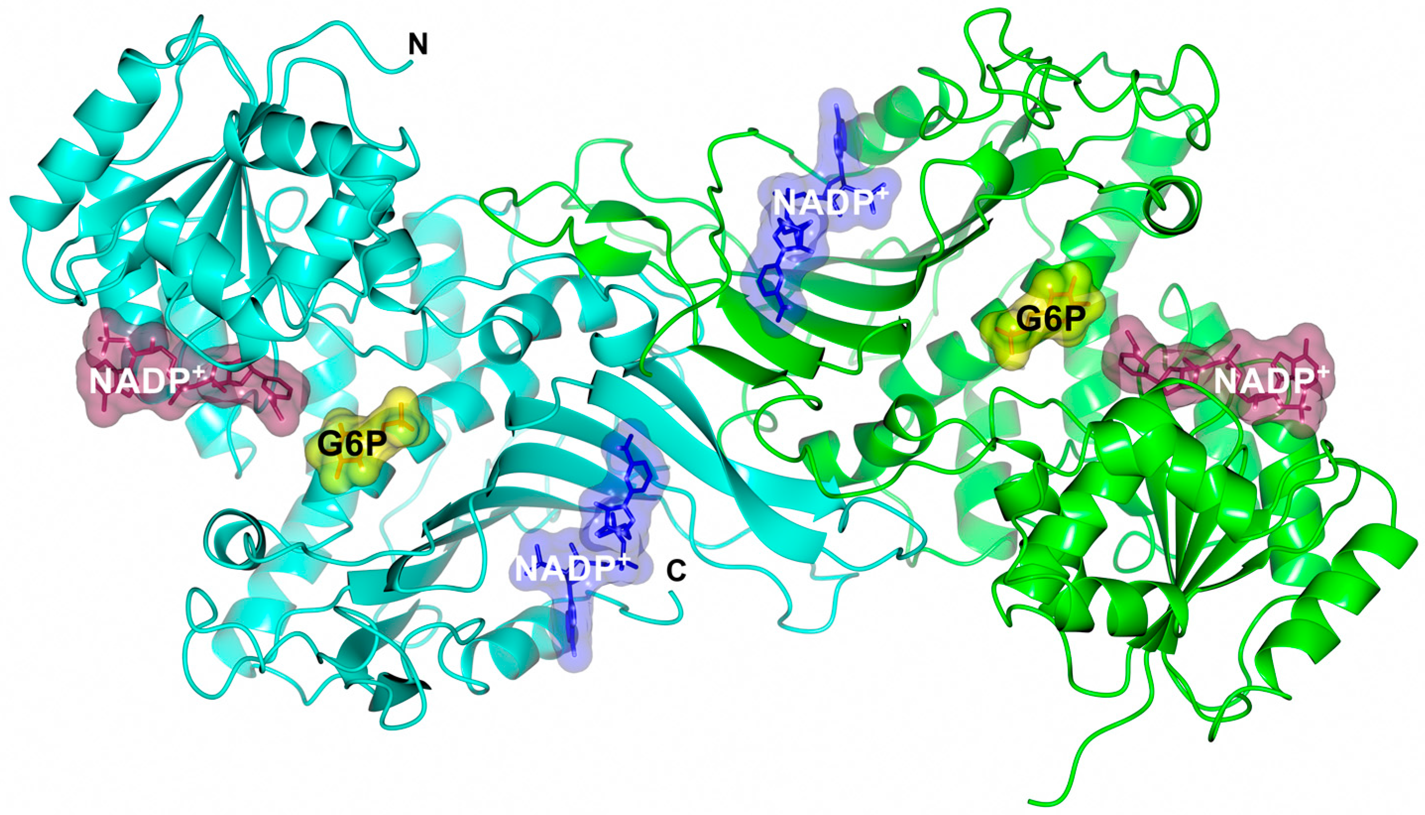 Catalysts 07 00135 g001 Catalysts 07 00135 g001