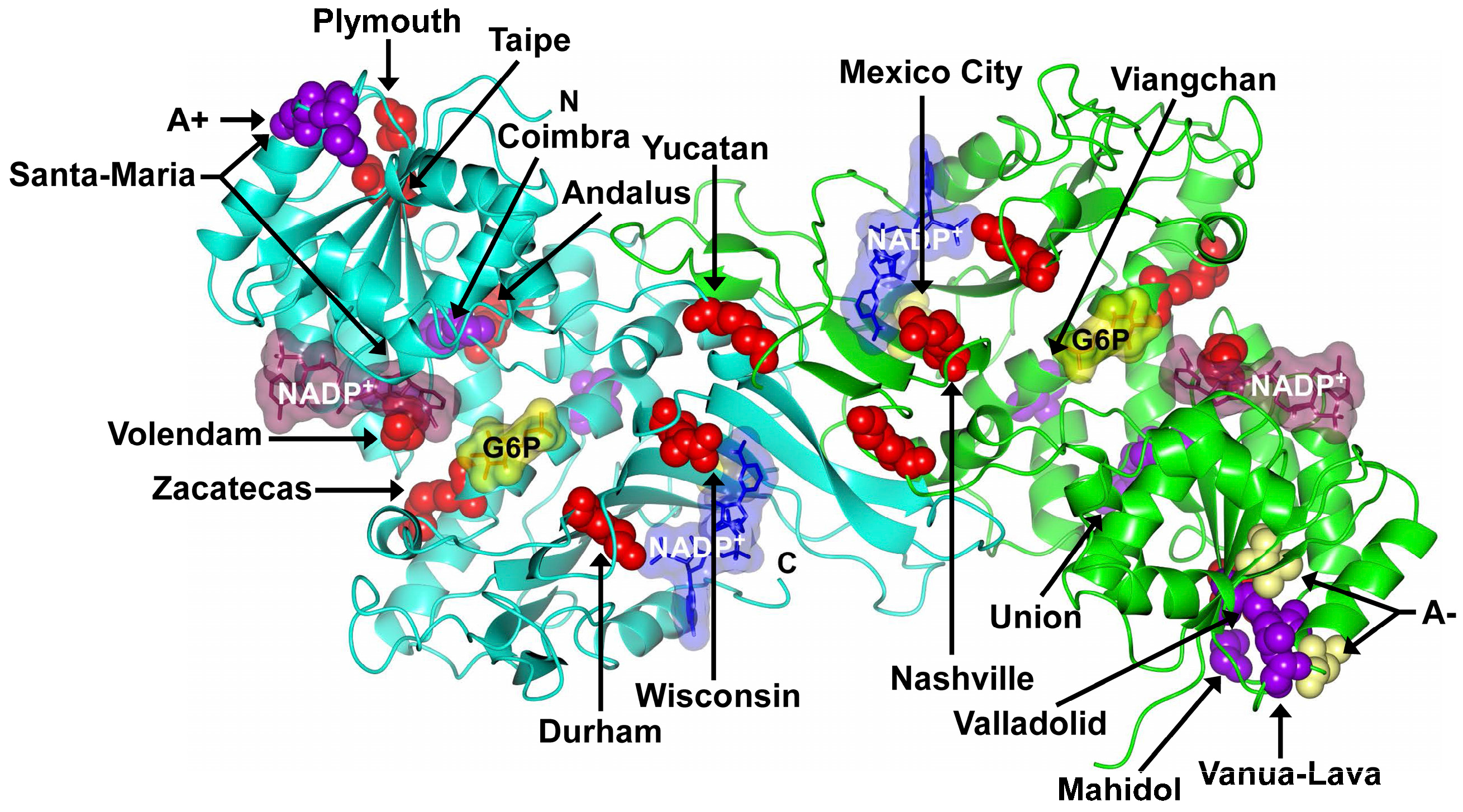 Catalysts 07 00135 g002 Catalysts 07 00135 g002