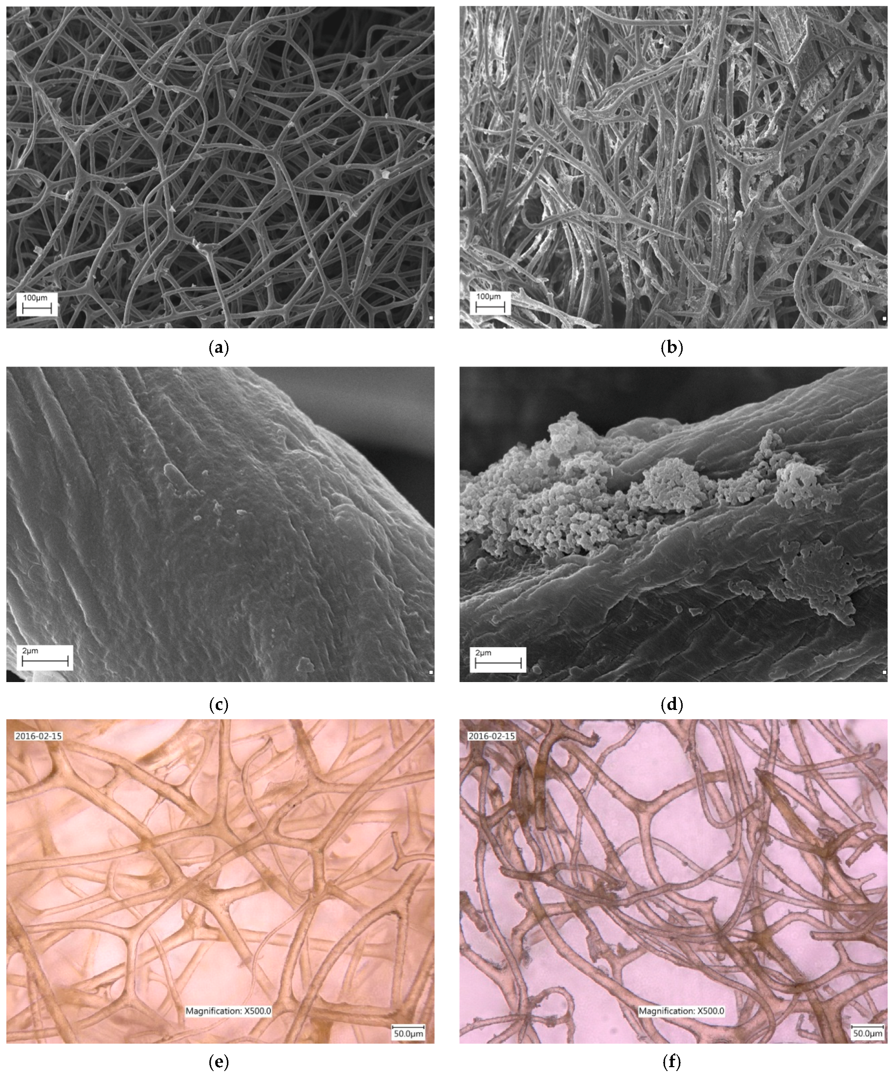 Catalysts 07 00147 g001 Catalysts 07 00147 g001