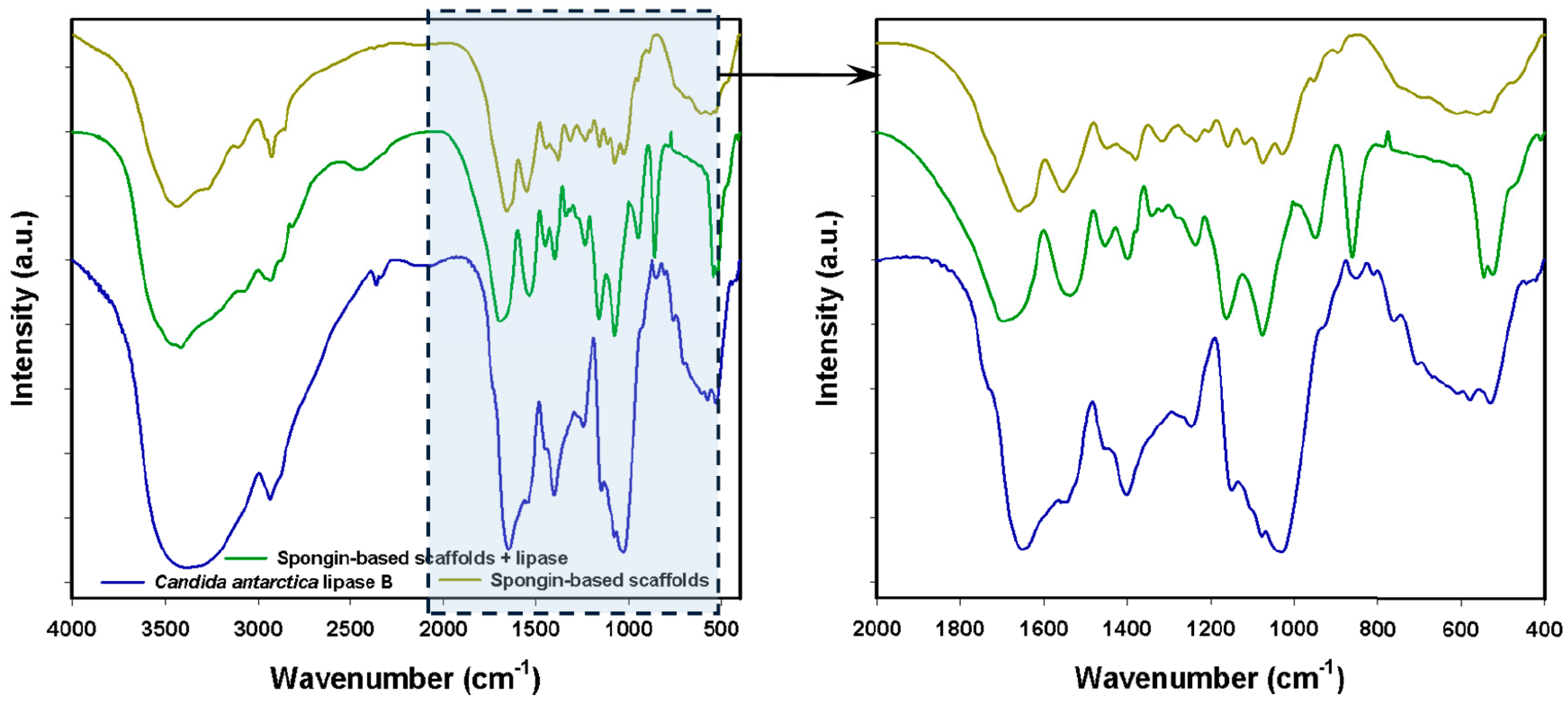Catalysts 07 00147 g002 Catalysts 07 00147 g002