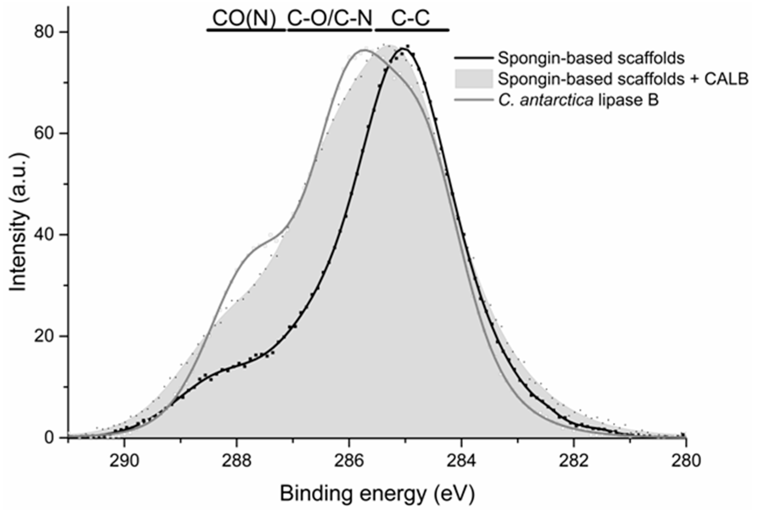 Catalysts 07 00147 g004 Catalysts 07 00147 g004
