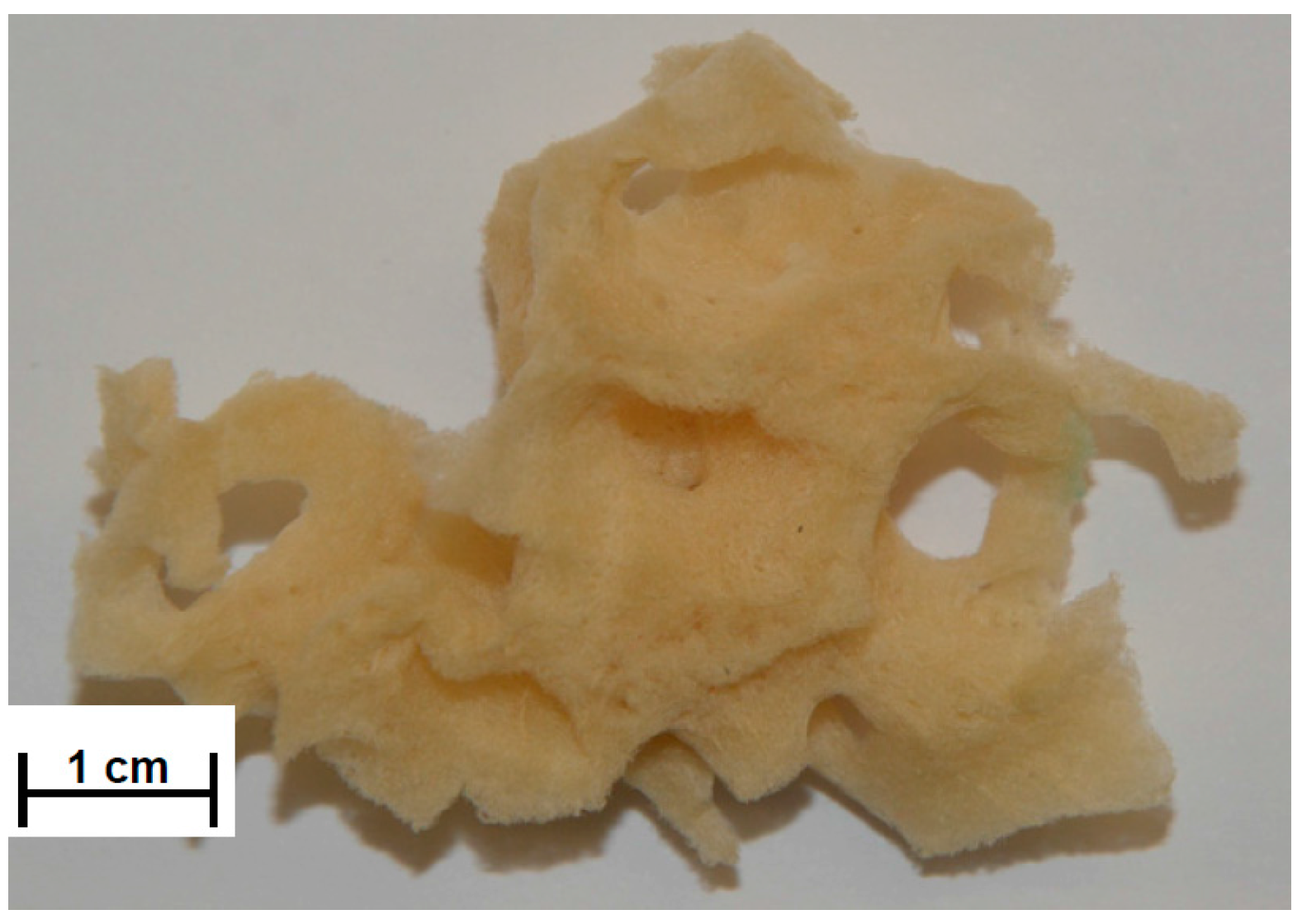Catalysts 07 00147 g011 Catalysts 07 00147 g011
