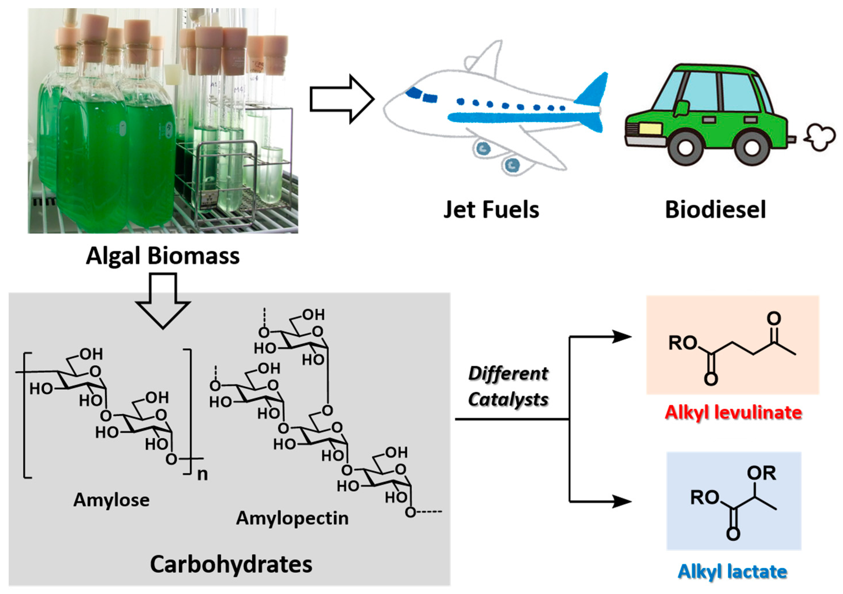 Catalysts 07 00163 g002