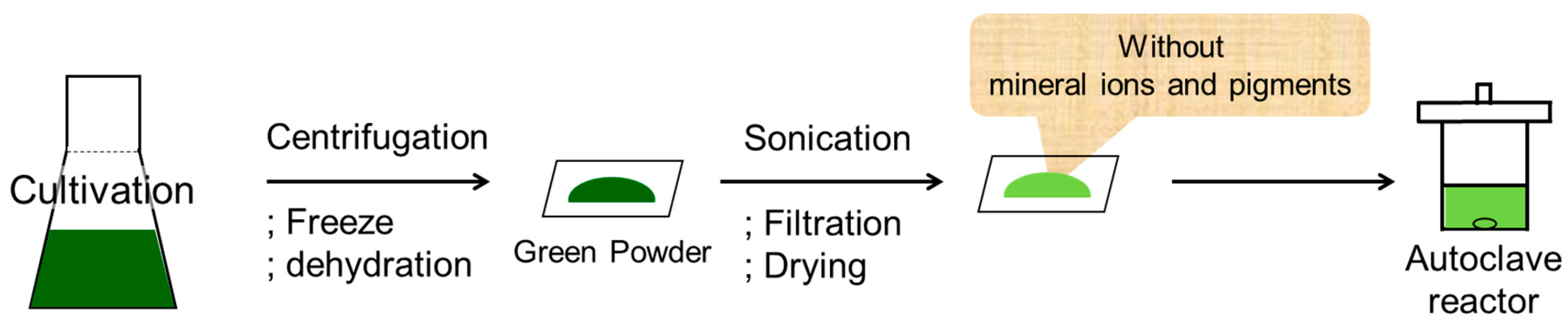 Catalysts 07 00163 g003